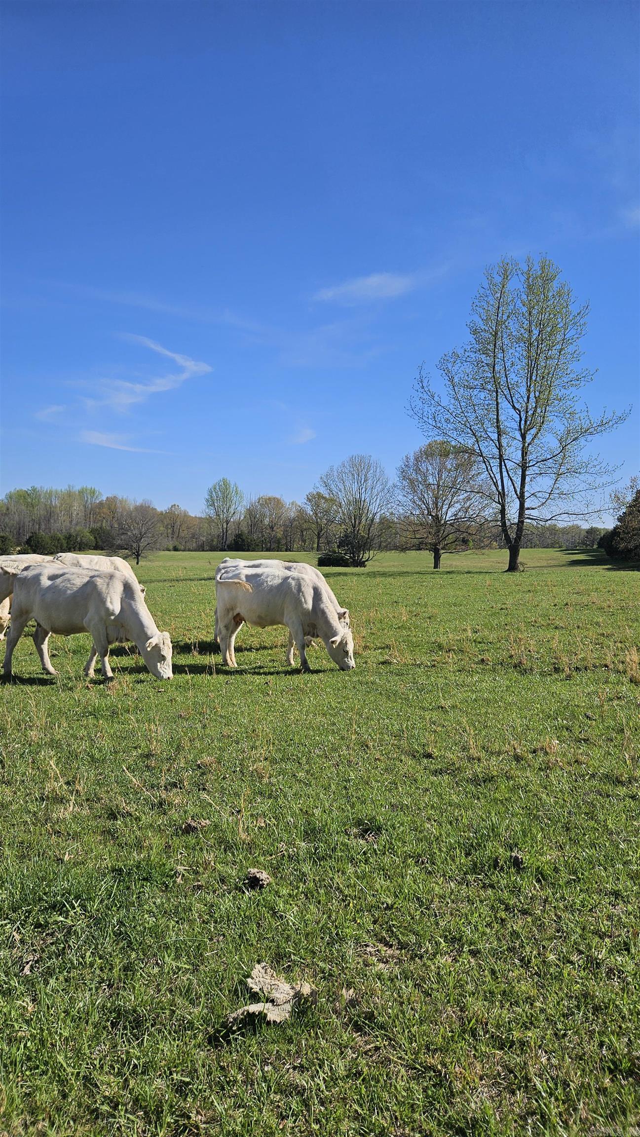 Metes & Bounds - Land