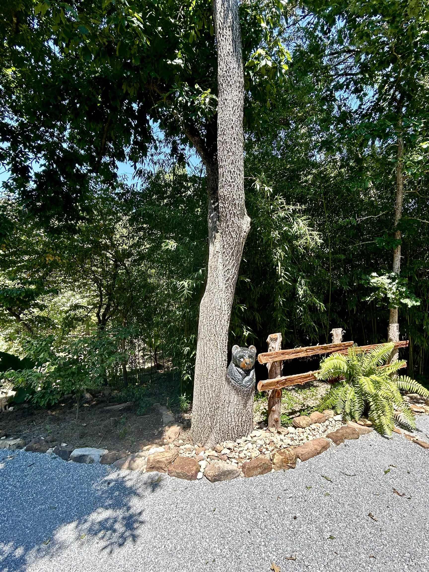 Lick Fork - Residential
