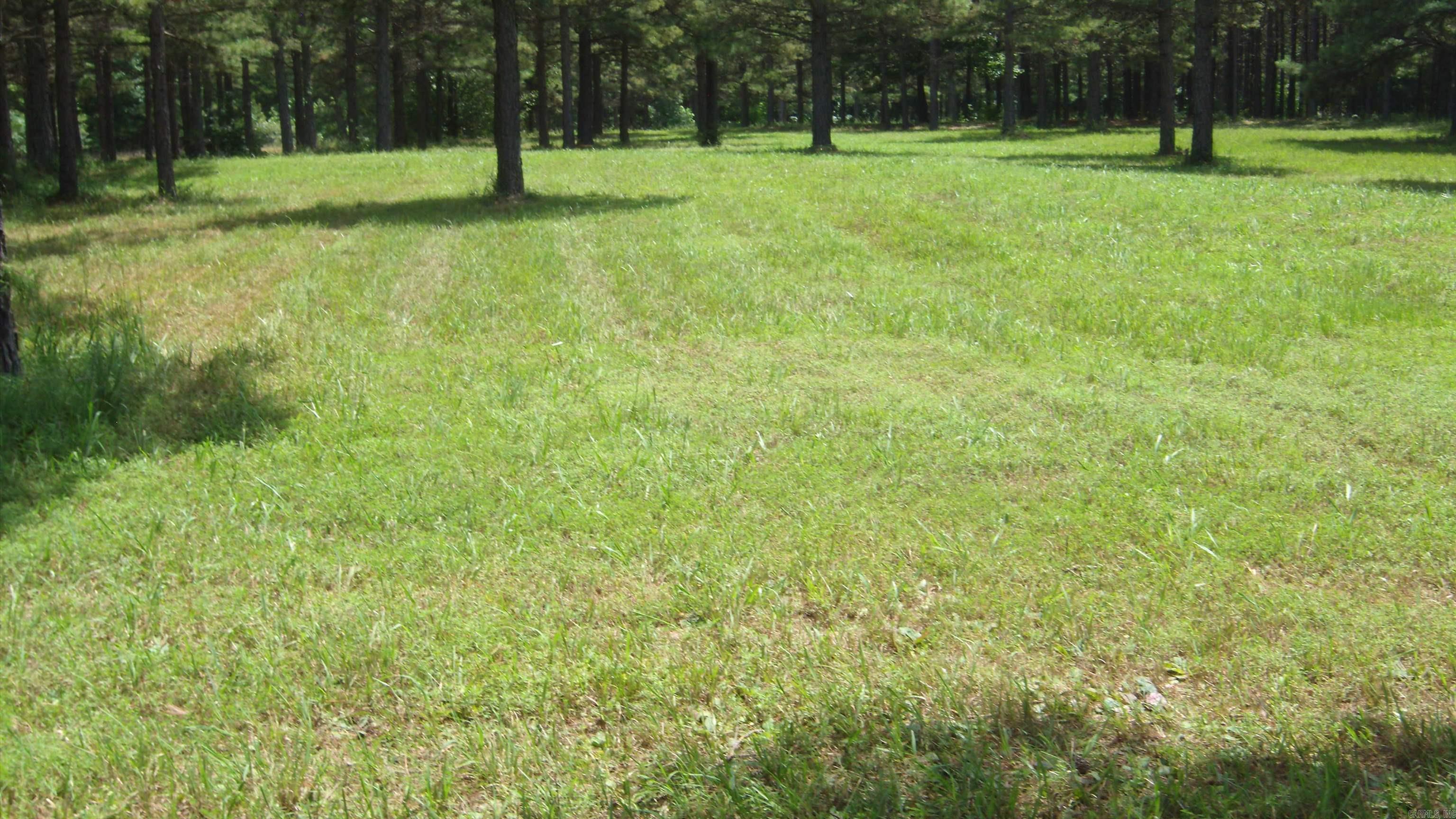 Very nice 9.58 acres, ready to build on, mostly cleared.