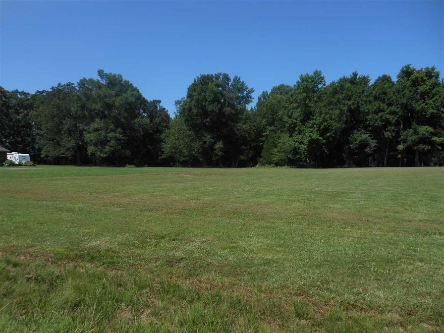 Large lot, great for a  tri-level home. property back up to tree line. All utilities available, city water, electricity, natural gas. Convenient to Vilonia, Conway and I-40.  Property has been mowed, and maintained for you new home.