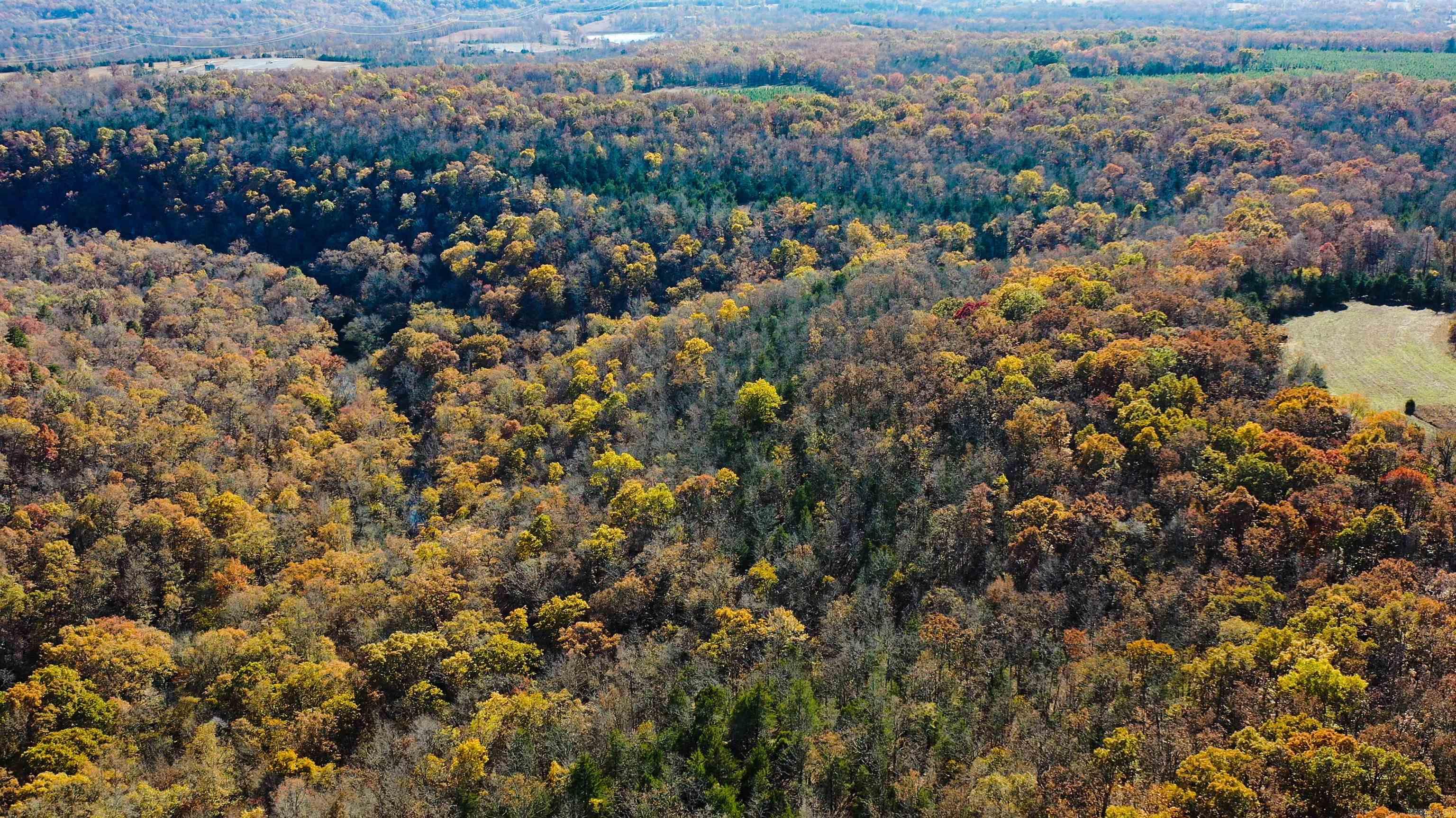 Looking for a place to get away from it all and enjoy the great outdoors? Look no further than this breathtaking recreational or hunting property! With 1230 acres of land to explore, you'll have plenty of room to roam and discover all that this beautiful area has to offer. One of the most striking features of this property is the stunning bluffs that offer unparalleled views of the surrounding countryside. Imagine spending your evenings watching the sunset from one of these overlooks, taking in the natural beauty of the area. In addition to the bluffs, this property also boasts two creeks that run through it, providing a refreshing spot to cool off on hot summer days or to try your hand at fishing. And with a mountain on the property, you'll have plenty of opportunities for hiking, rock climbing, and other outdoor adventures. The land itself is home to a variety of hardwood and pine trees, creating a picturesque backdrop for your outdoor activities. And with miles and miles of maintained trails throughout the property, you'll have plenty of opportunities to explore all of its 1230 Acre DeerHunting Paradise.