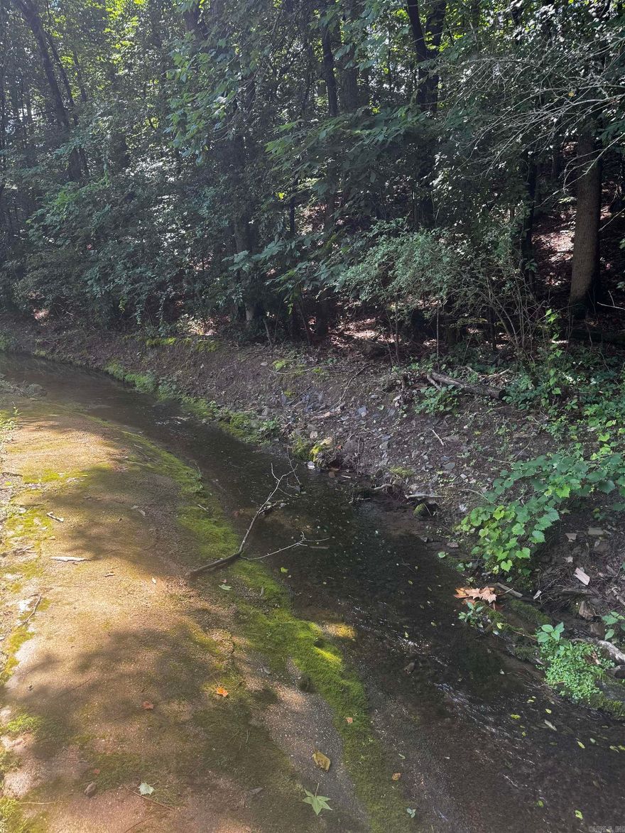 Build your dream home in the tranquil Forest View subdivision—an exclusive 55+ community offering peaceful living. This beautifully wooded lot features mature trees, scenic views, and a charming small year-round creek at the back of the property. Enjoy added privacy with no homes behind you, creating a truly serene natural setting.  Don’t miss this opportunity to secure a spot in one of the area's most desirable active adult communities;  Just steps from the beautiful Greenway trail.