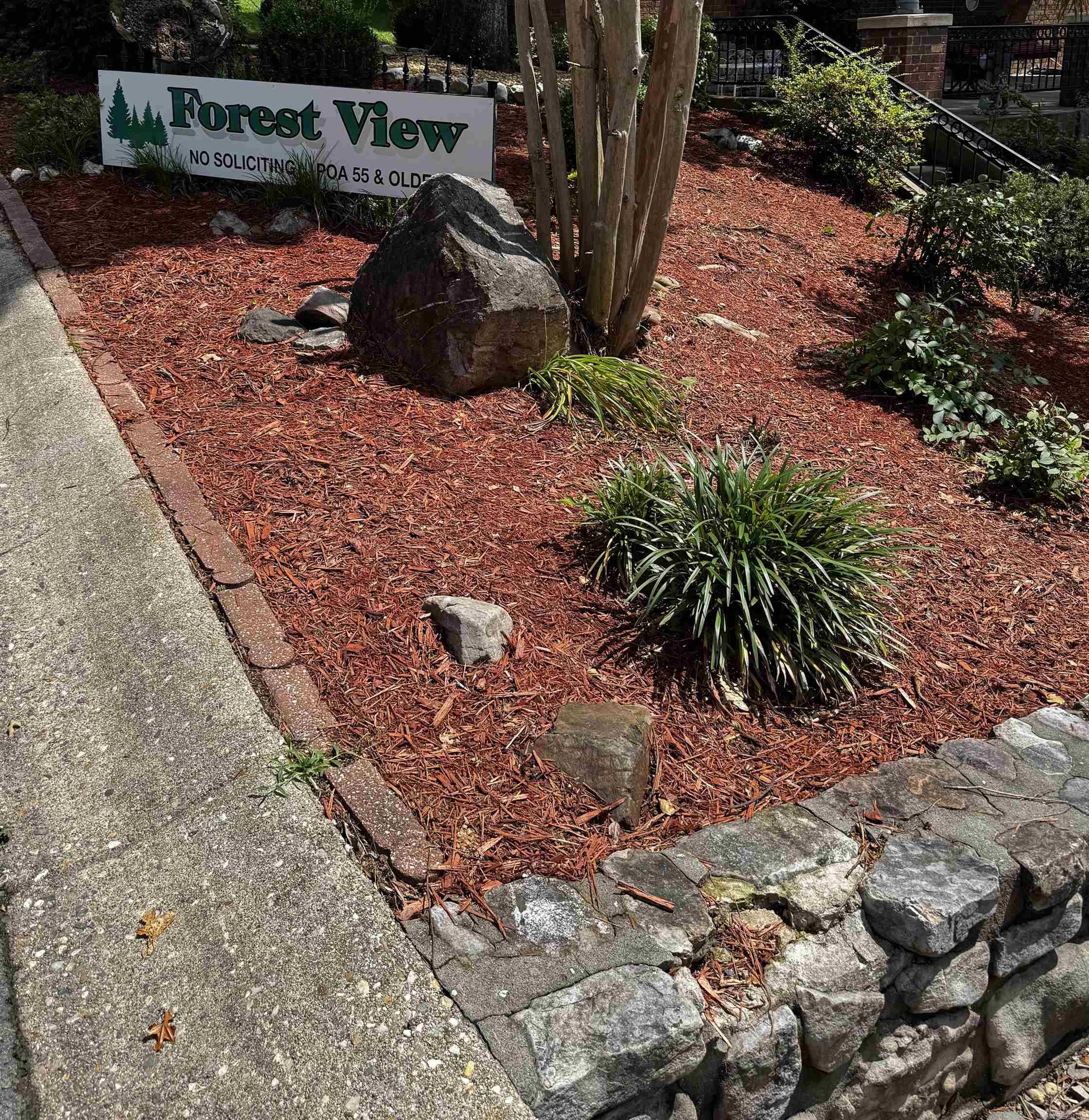 Forest View II - Land