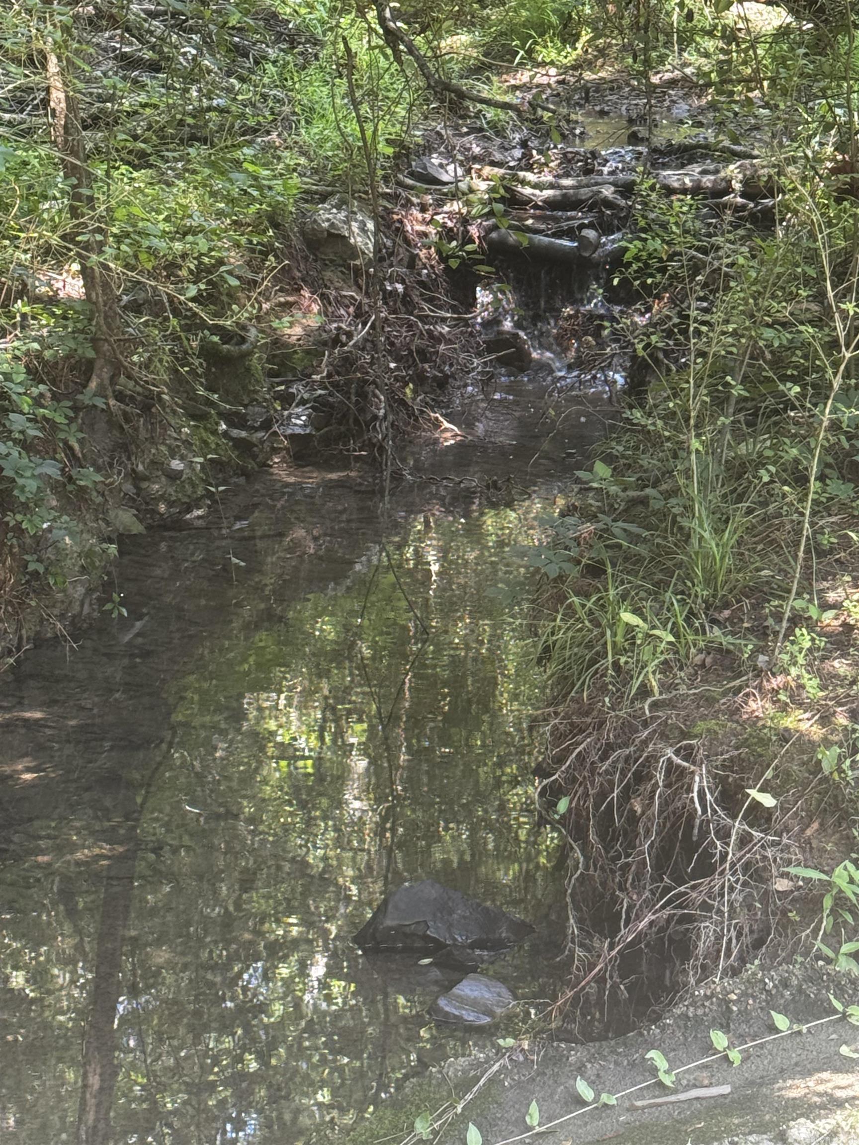 Forest View II - Land