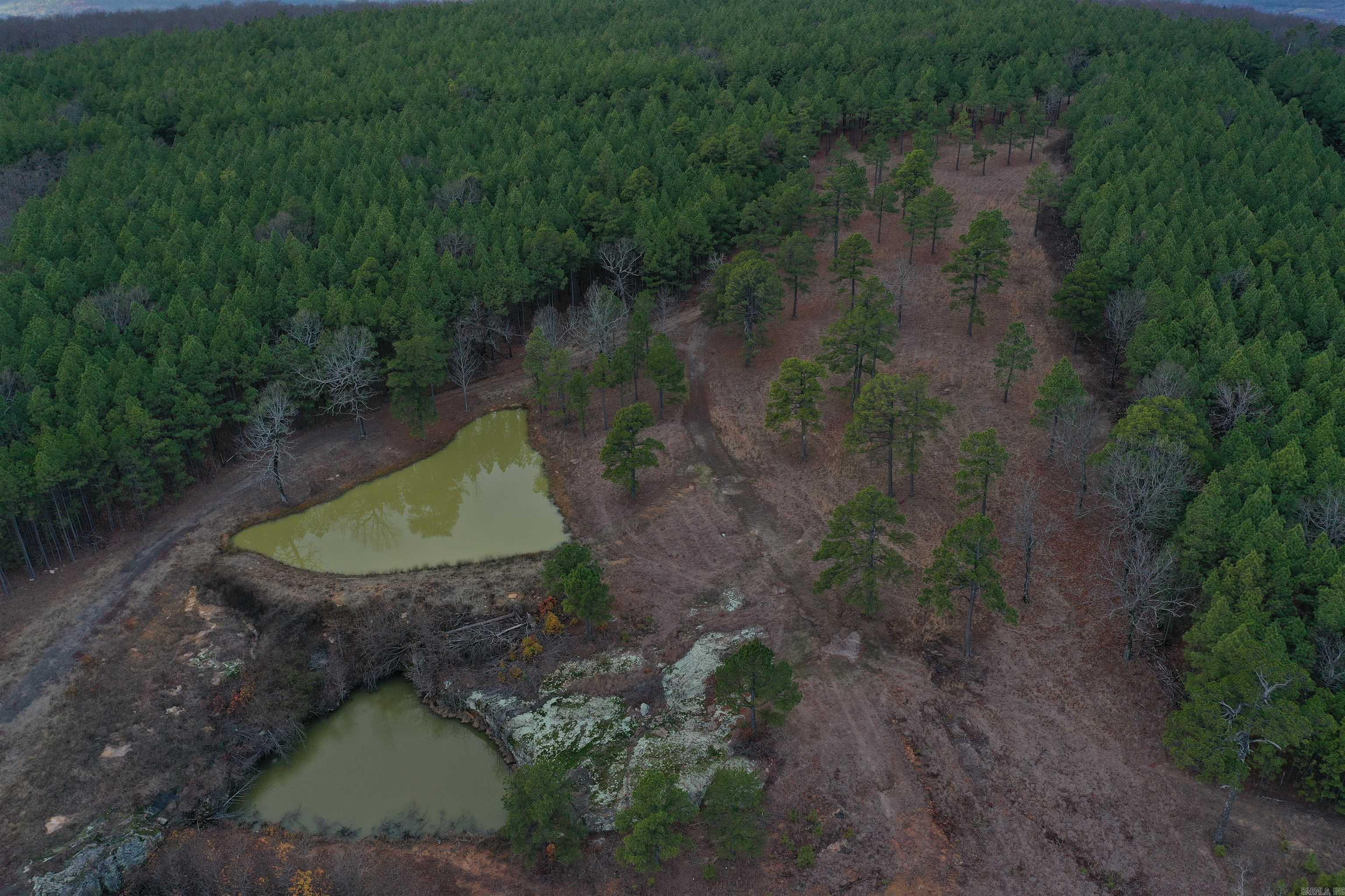 Metes & Bounds - Land