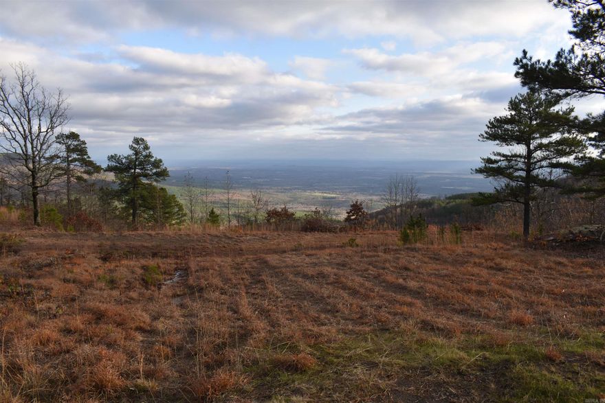 Some of the best views in the state of Arkansas can be found atop Spring Mountain, lying along the Logan/Yell County Line just outside of Dardanelle. The views from this 6 +/- Acre tract are nothing short of breathtaking, with views of the entire Ouachita Mountain Range. This parcel is flat enough to build anywhere on the land, from the road frontage all the way to the bluff overlook. Power is available, and the acreage has already been mostly cleared, which will make constriction a breeze. Just above the bluff overlook, there are two shared ponds that create a waterfall when they are running over. The community atop spring mountain is a gated community, with only landowners having access. The private road system allows ATV and UTV traffic, and is maintained by $600/year dues paid by landowners. A FAA registered airstrip atop the mountain is available for use by all landowners, as well as hundreds of acres of timberland for hunting, hiking, and fishing. Pavilions and lookout towers are placed along the overlooks on the common areas that are available for use by landowners of the community as well.