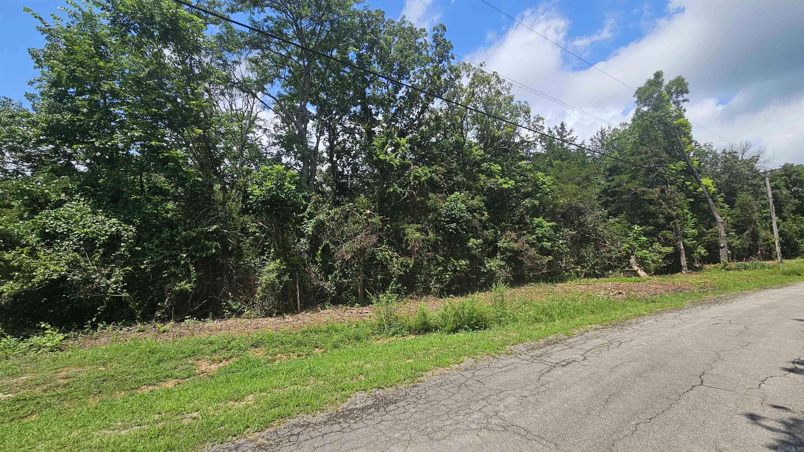 With all of the amenities that Cherokee Village has to offer, take advantage of this offering of two residential lots to build your forever home on! Enjoy the golf courses or the many lakes withing the village as life passes by! This offering has all of the amenities! Electric, high speed internet and water! Great building spots! Easy access! Beautiful setting! Wildlife just out your front door!!! Restrictions do apply to this property.