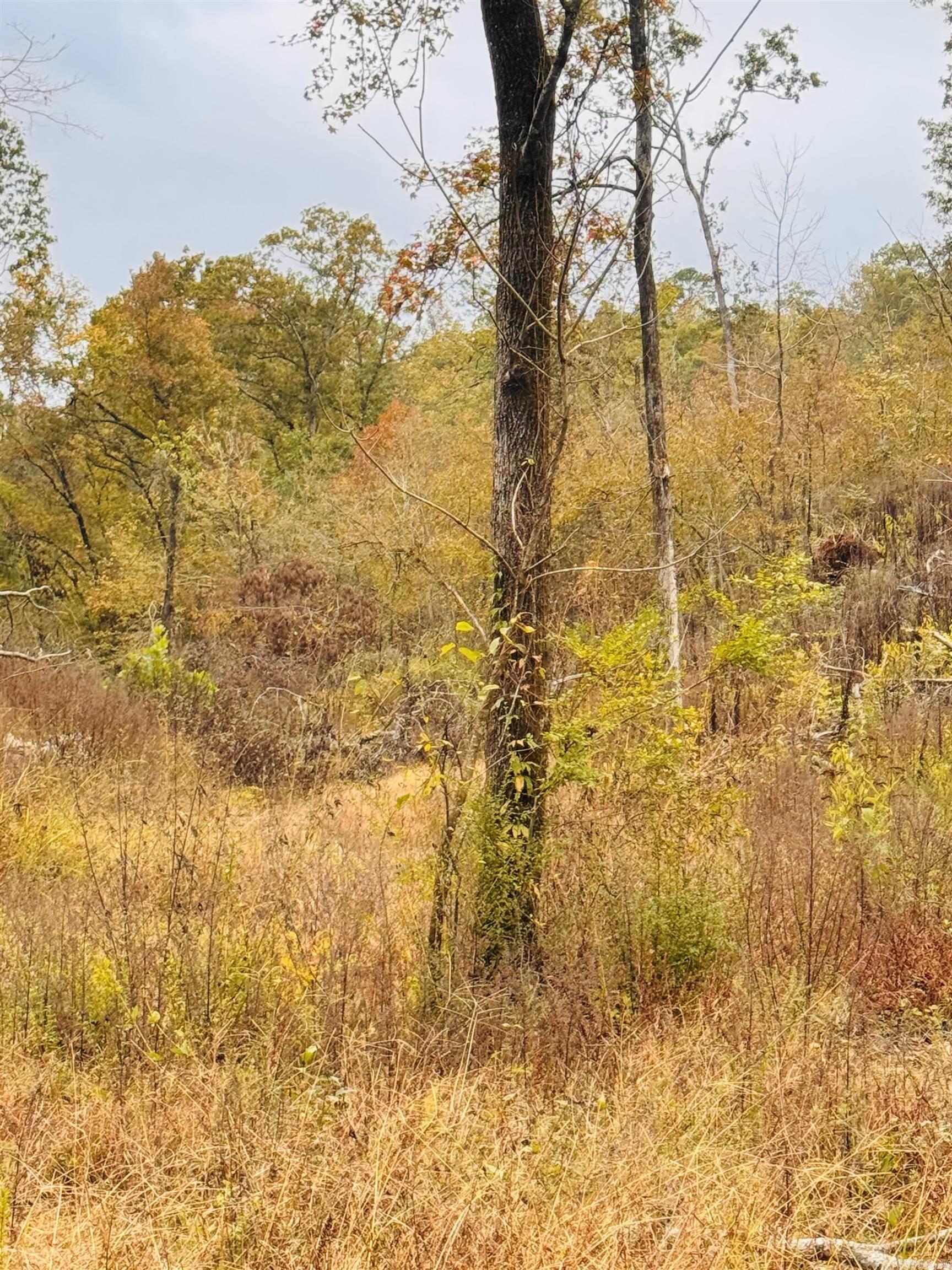 ARROWHEAD ESTATES - Residential