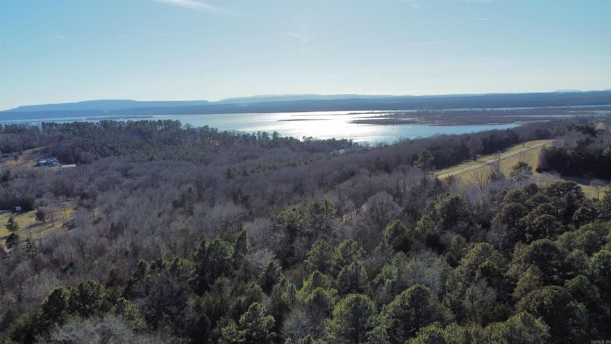 One-of-a-kind 11± acre property featuring a private pond and a beautiful seasonal view of the Arkansas River. This unique tract offers the perfect blend of privacy and potential ideal for building your dream home, a family compound, or an investment opportunity for multiple residences. Enjoy the peaceful setting while still being close to town conveniences. Opportunities like this don’t come around often!