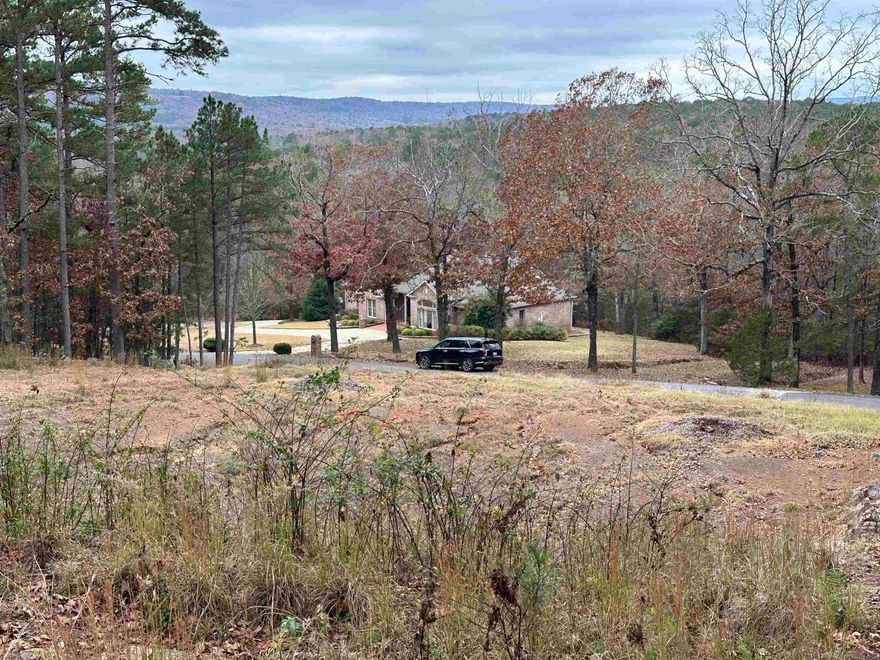 Beautiful lot on Fox Run, just a short walk to Greers Ferry Lake and Sulfer Creek bike/walking trail. The only lot that is currently available in Pinecrest Manor Estates. The seller has already cleared a home site, along with rock work and a driveway.