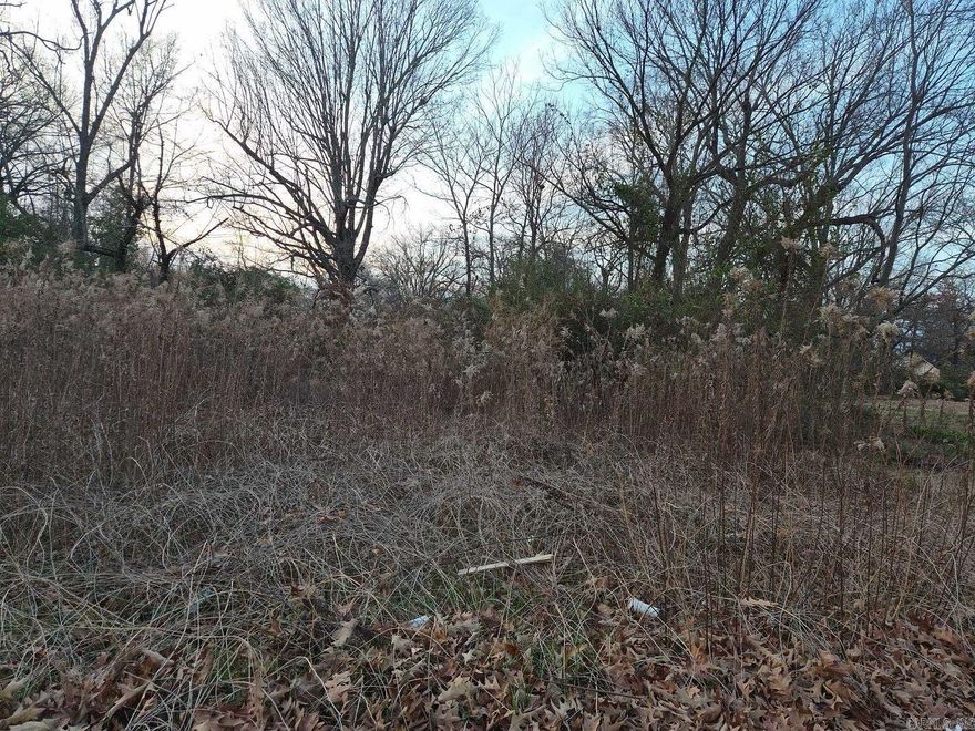 Vacant residential lot located at 2100 South Mulberry Street in Pine Bluff, AR. This 8,276 sq. ft. parcel offers an excellent opportunity to build a custom home or investment property. Situated in an established residential neighborhood, the lot is conveniently located near schools, shopping, and dining. No existing structures—ready for development. Ideal for buyers looking to build and add value in a desirable area. Don’t miss this blank canvas with strong potential.