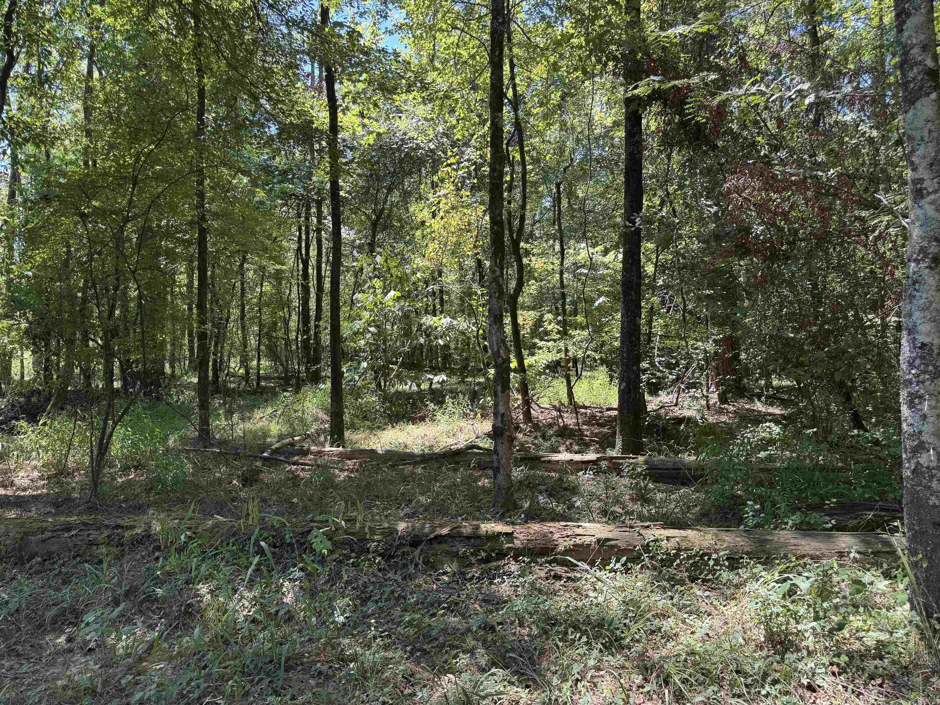 Not in Subdivision - Land