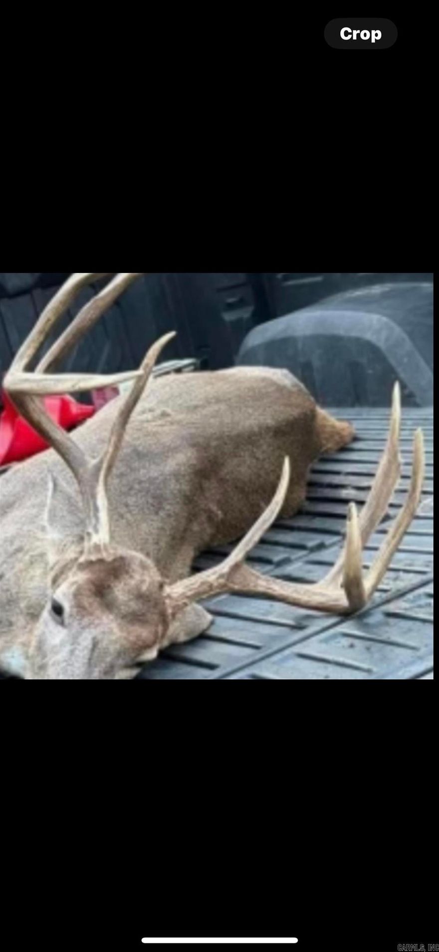 OWNER FINANCING AVAILABLE!!!   This 30-acre recreational and timber investment tract offers a rare blend of natural features and income potential. With rolling terrain, a healthy mix of mature timber, and abundant wildlife, this property is ideal for hunters, outdoor enthusiasts, and investors alike. Timber Breakdown:20 acres in 15+ year-old planted pine ready for thinning or future harvest10 acres of pine sawtimber immediate or near-term timber value Scattered hardwoods and some beautiful cypress along the creek bottom Water Features: A small creek meanders through the property small pond with potential for duck habitat improvements Cypress-lined creek area adds diversity and aesthetic value Wildlife & Hunting:   Prime habitat for deer, turkey, hog, and small game, duck hunting potential with minor improvements to the pond area thick cover areas provide secure bedding and holding habitat for game Property Highlights: Rolling terrain with scenic views and multiple potential cabin sites Great off-grid camp or hunting retreat location Accessible property entrance.