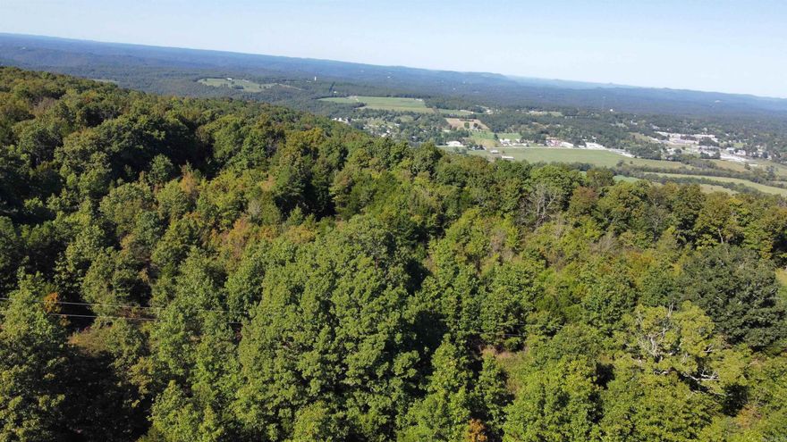 Rare opportunity to own 13 acres of land that overlooks the beautiful town of Mountain View! This is a raw piece of land with paved road access, power, water, and high speed internet all available at the road. It will take some clearing to open up the view but it will be one of the best in the area and only 5 minutes from the court house square! Call today and schedule before this one sells!