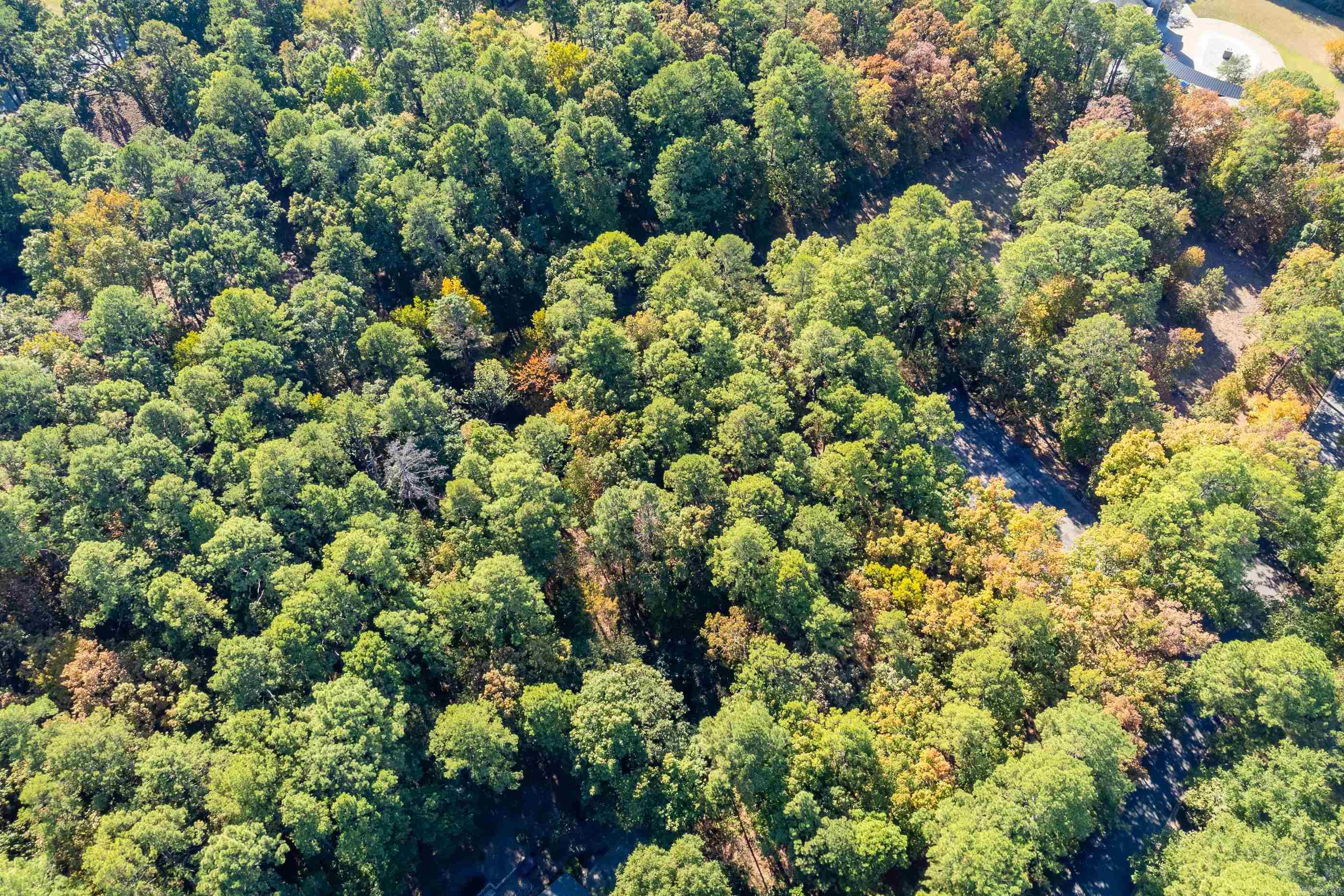 Hickory Hills - Land