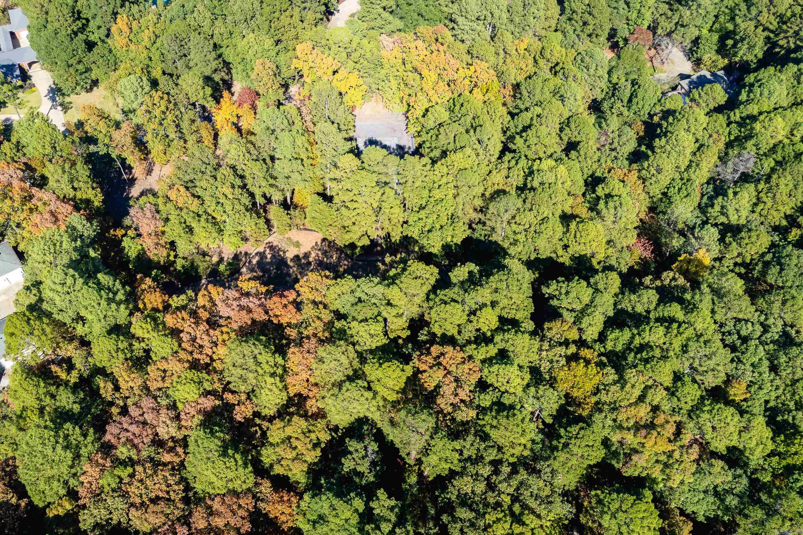 Hickory Hills - Land