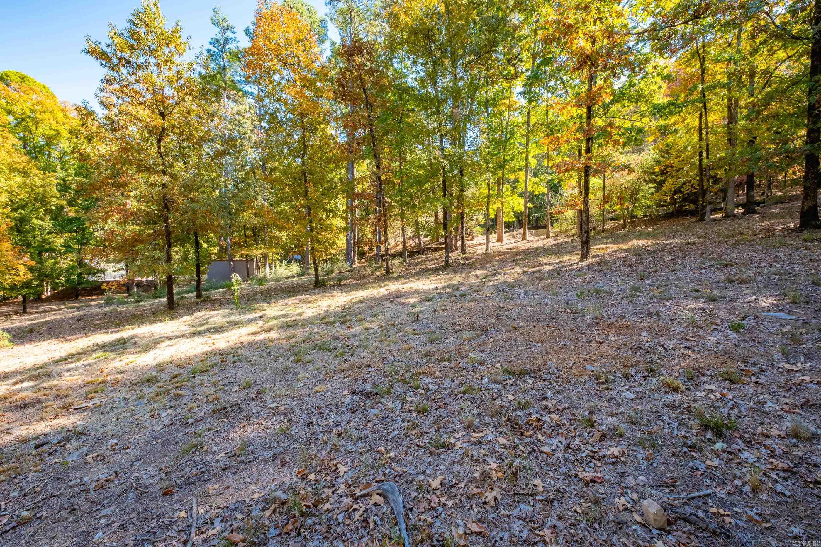 Hickory Hills - Land