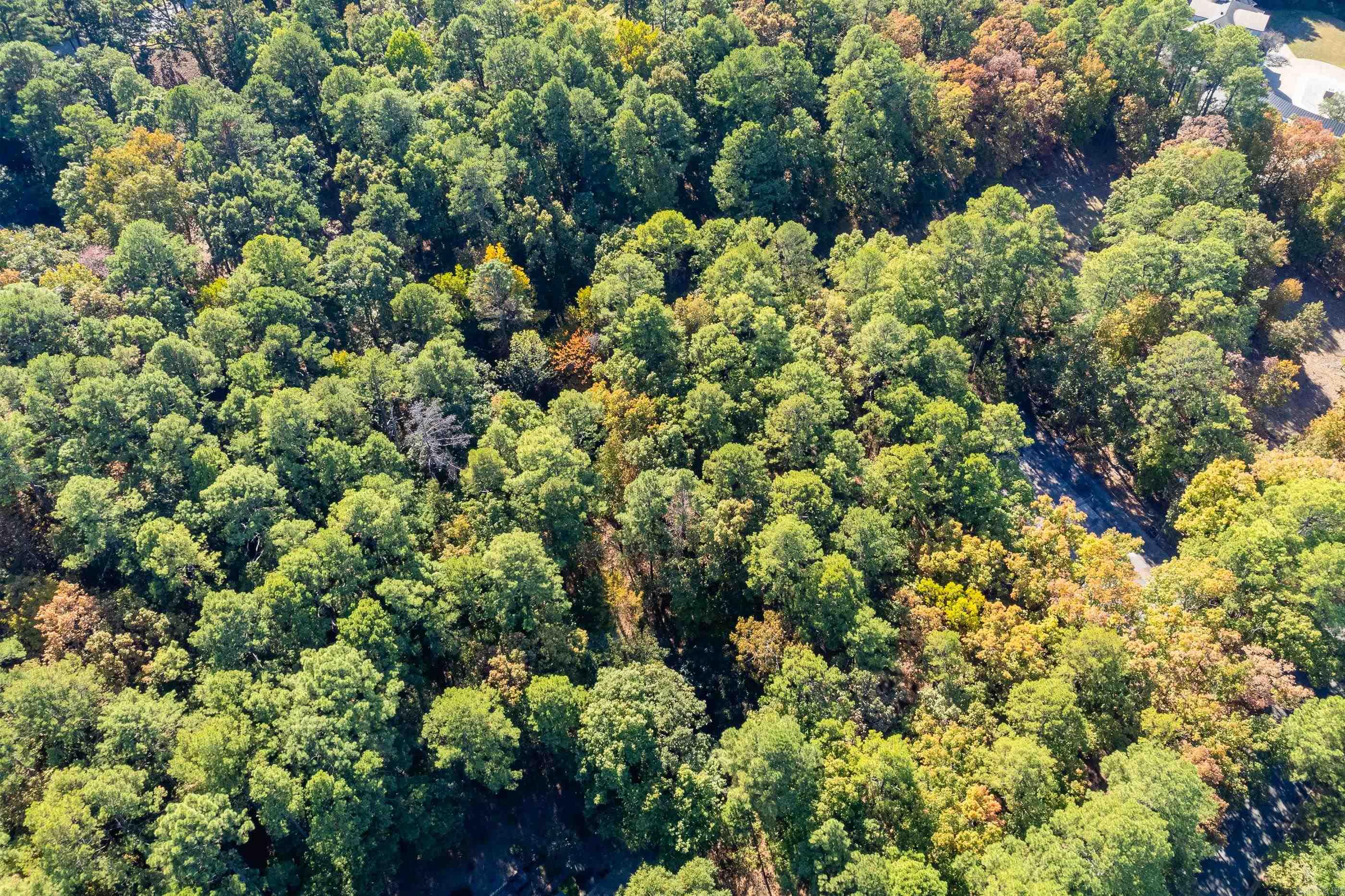 Hickory Hills - Land