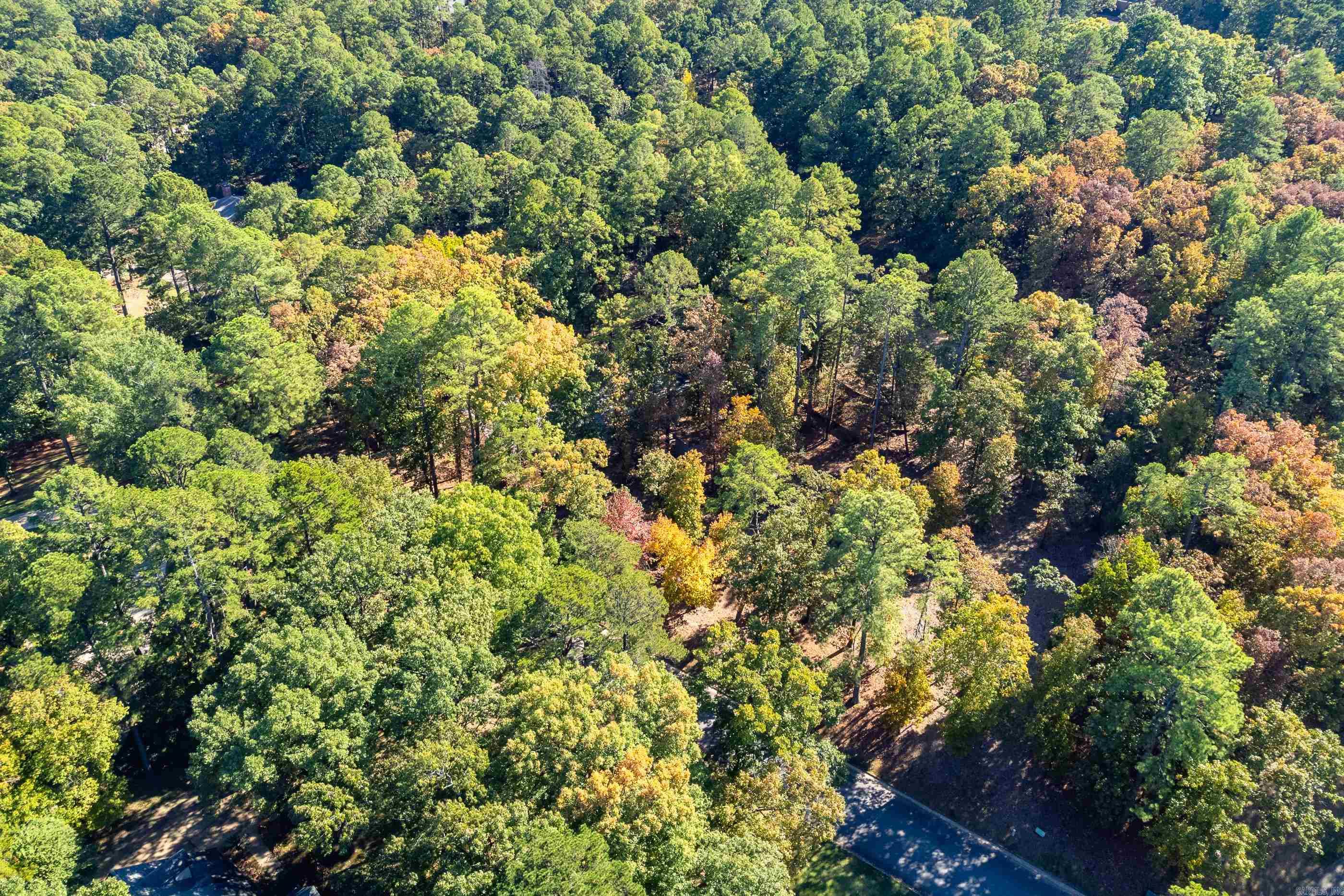 Hickory Hills - Land