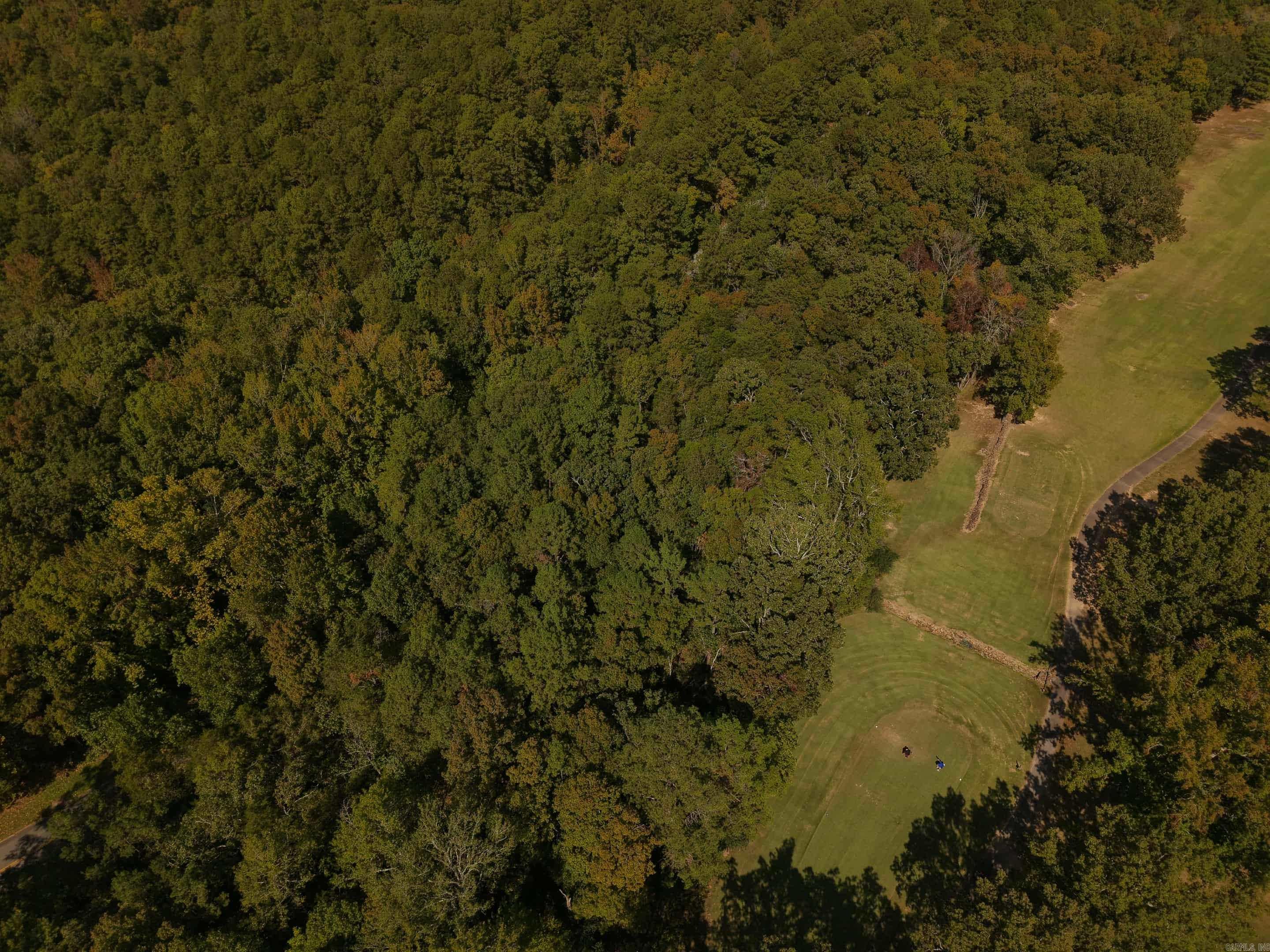 Mountain Ranch - Land