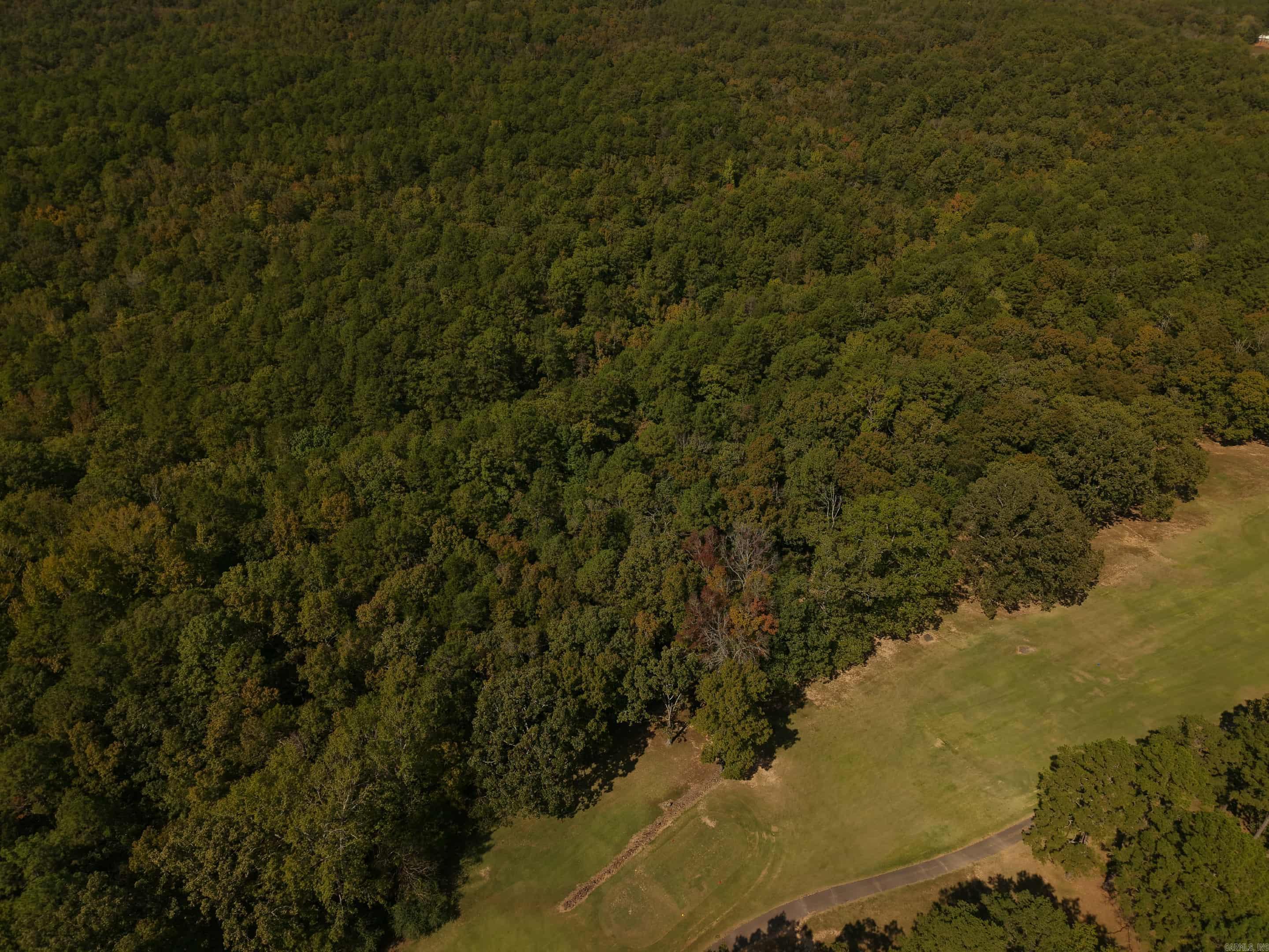 Mountain Ranch - Land