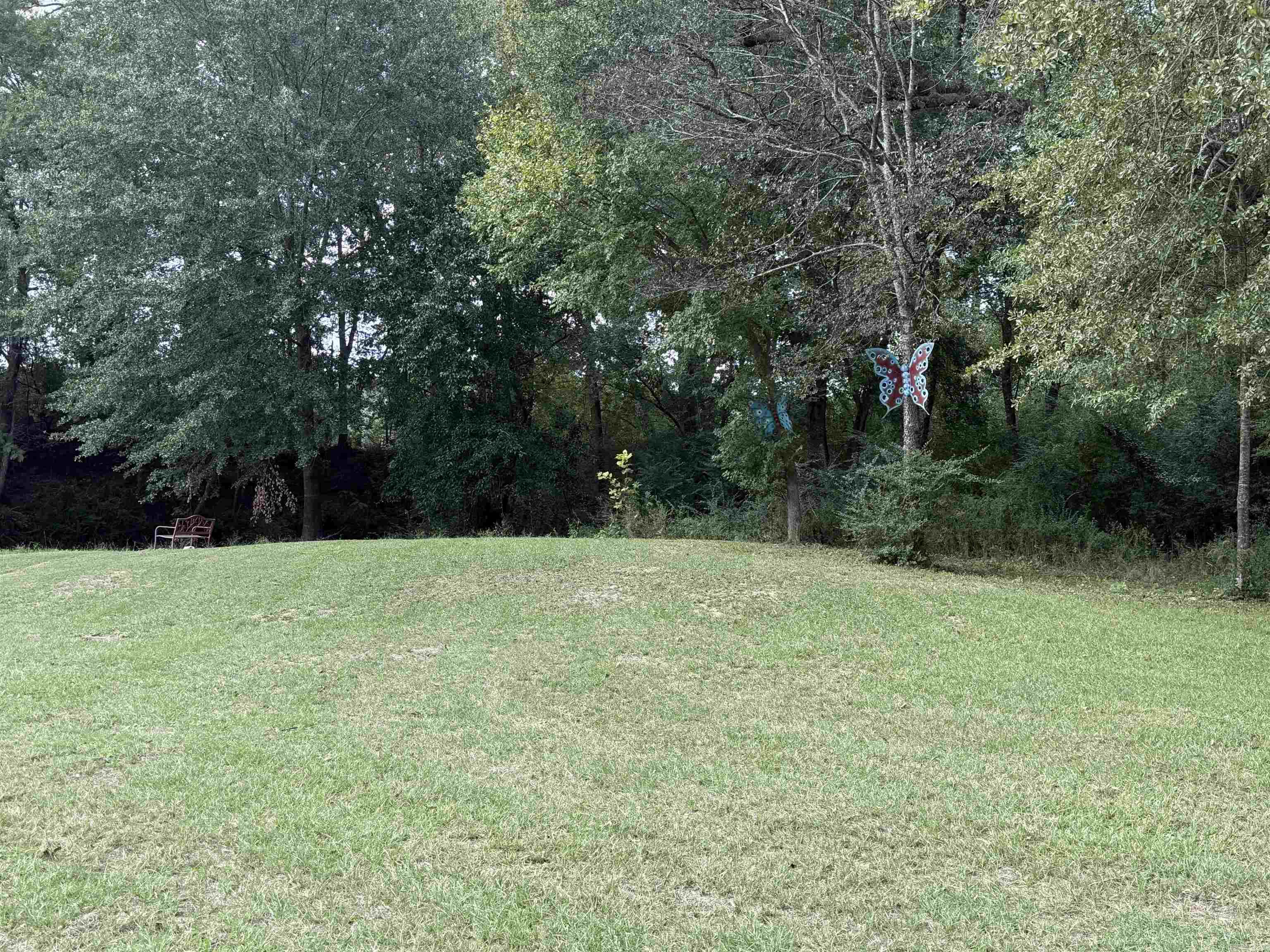 UNLOTTED CITY OF MUFREESBORO - Residential