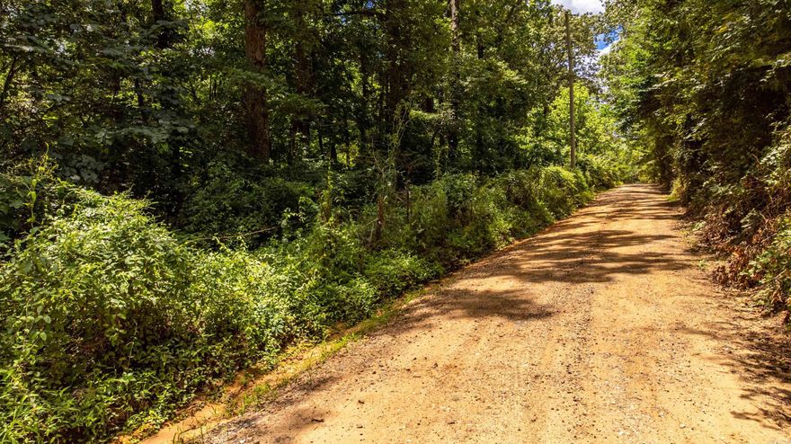 Almost 4 acres in a quiet area of Lake Hamilton School District ready to make your own. This versatile property would be a great place to build or move your home to. Septic lines and tank are still on property. Well has been closed however city water is available at road (Kimzey).