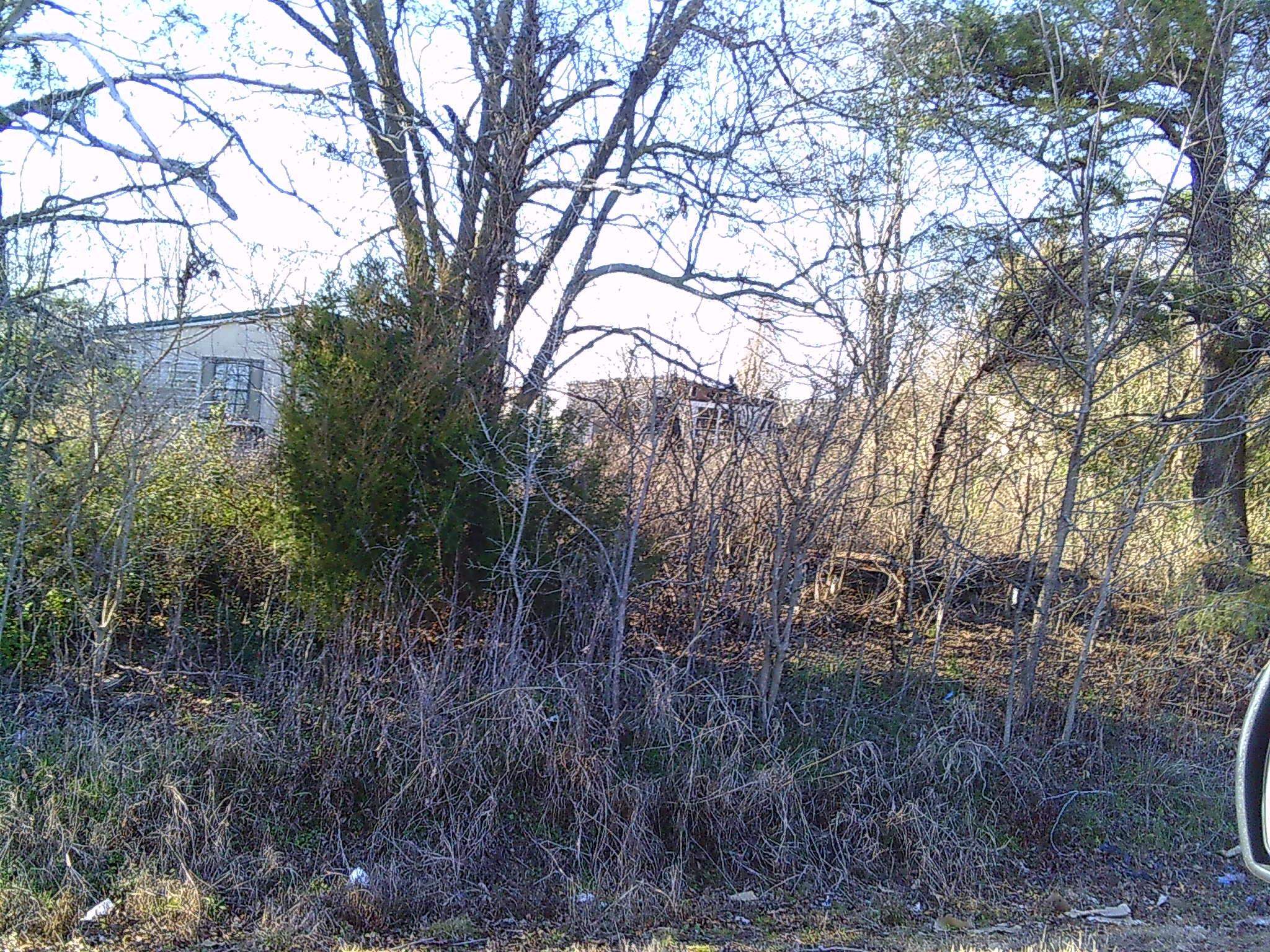 PUNK WILLIS SUB - Land