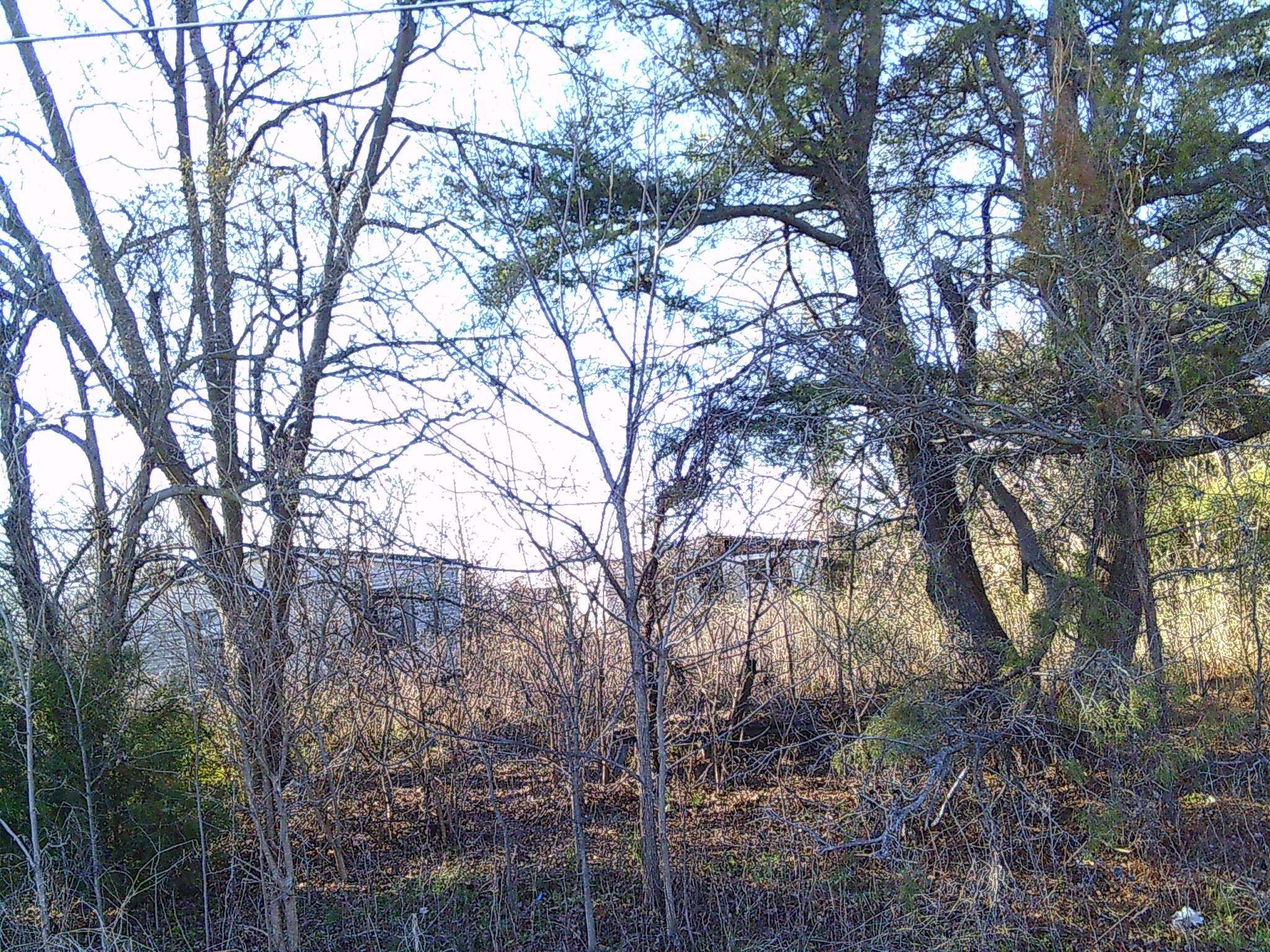 PUNK WILLIS SUB - Land