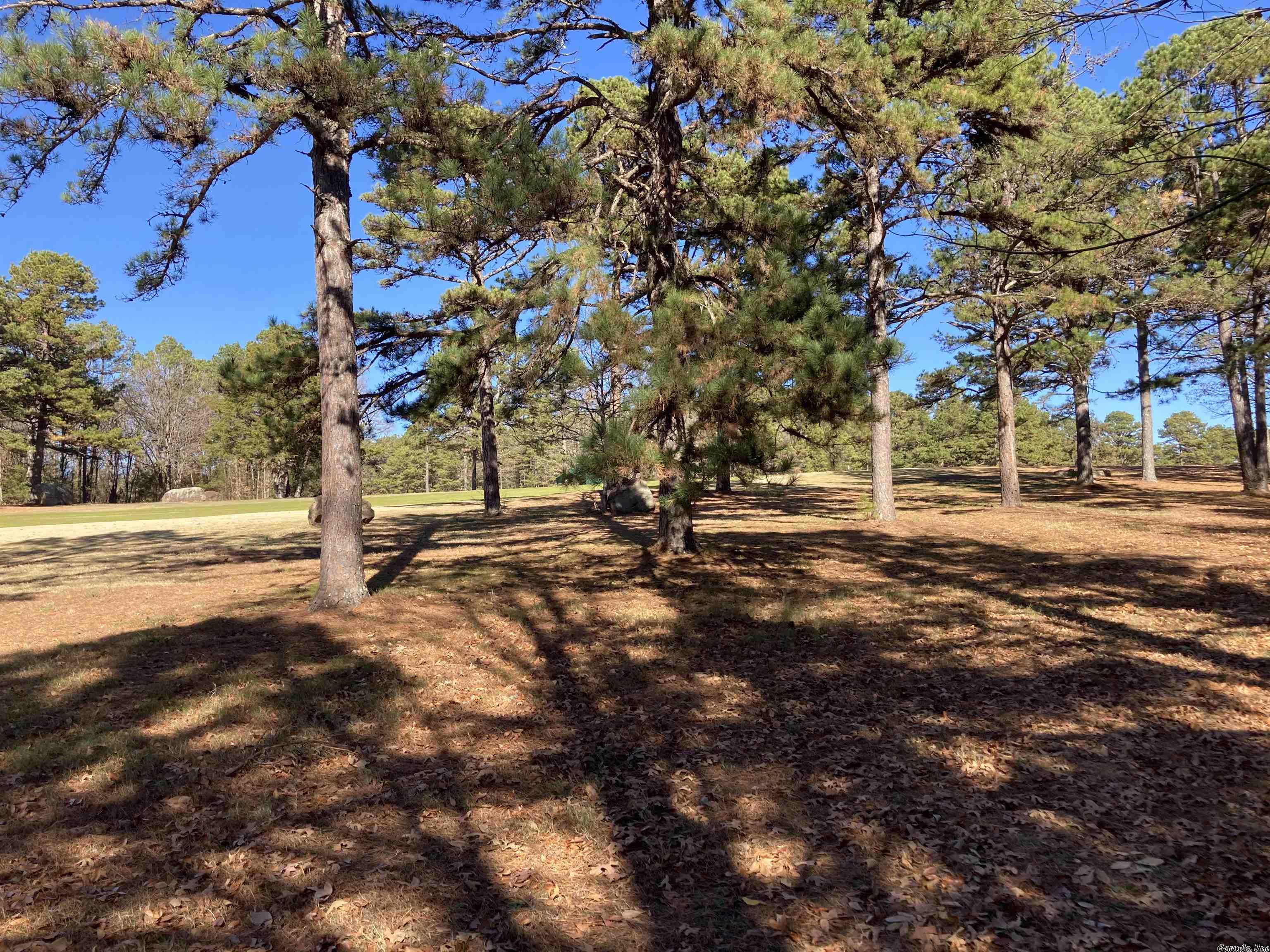 Mountain Ranch - Land