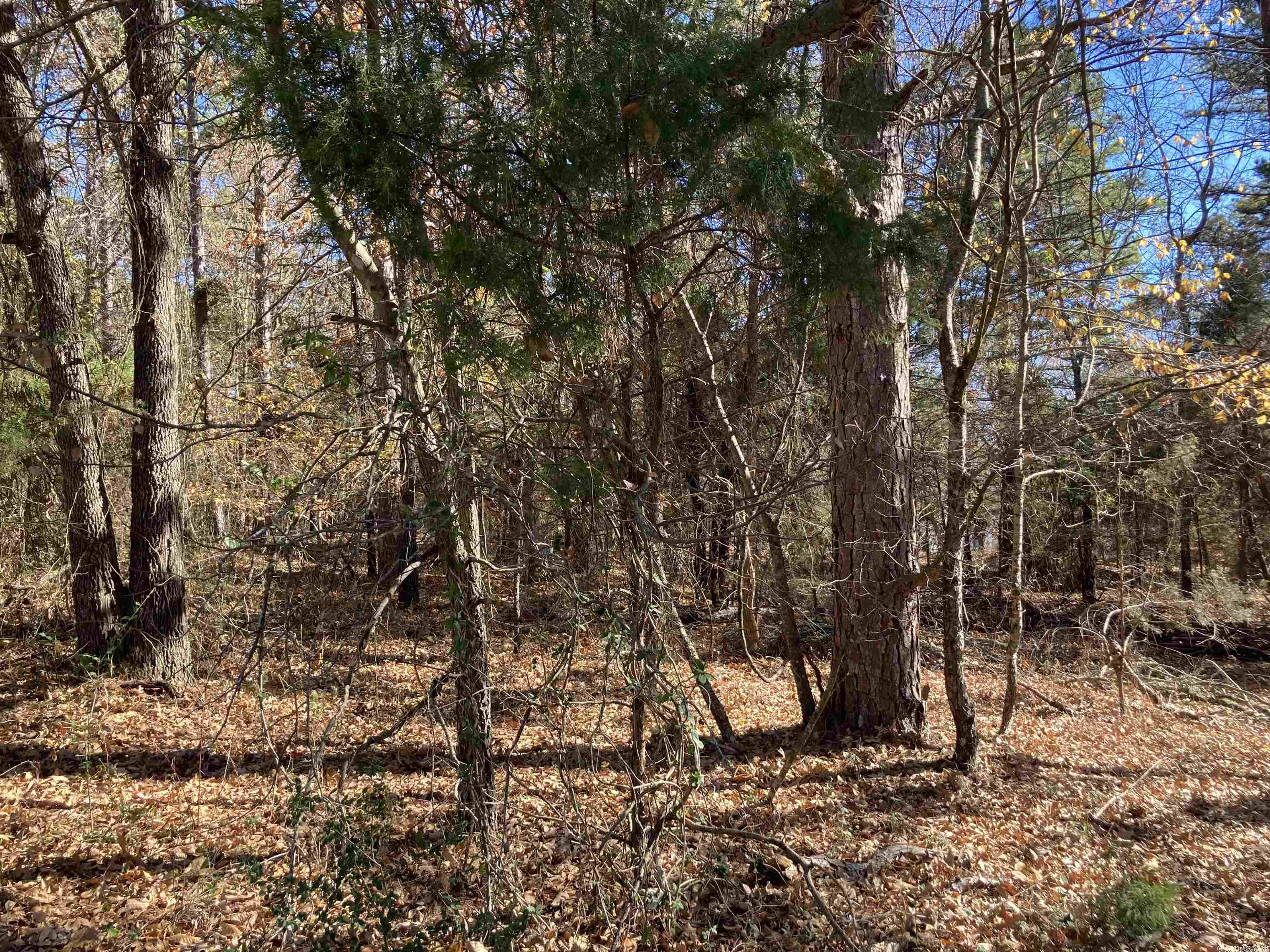 Mountain Ranch - Land
