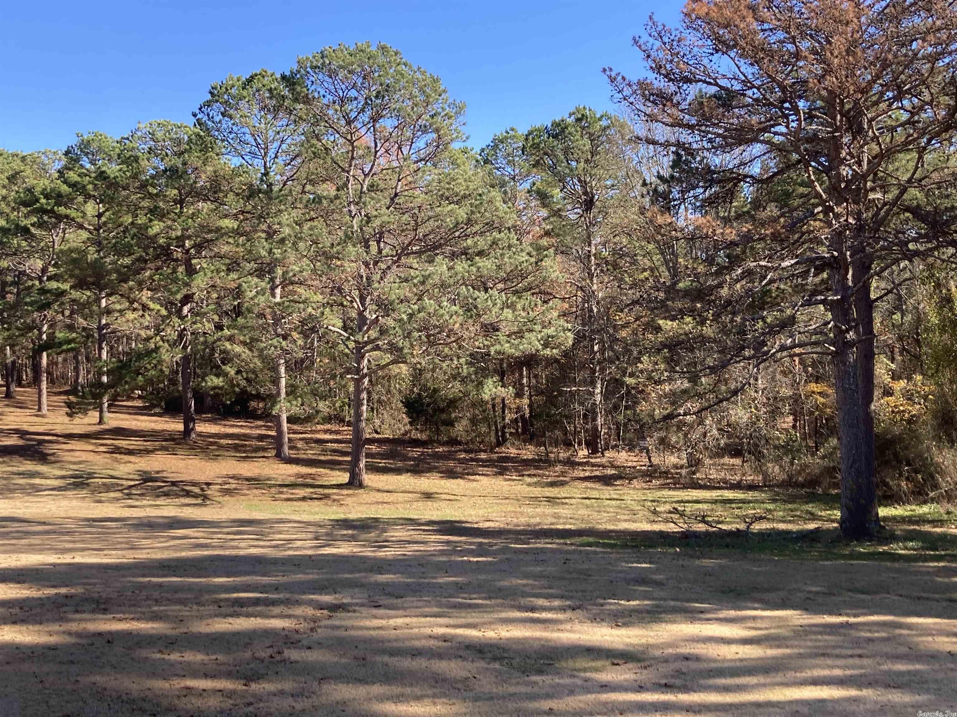 Mountain Ranch - Land