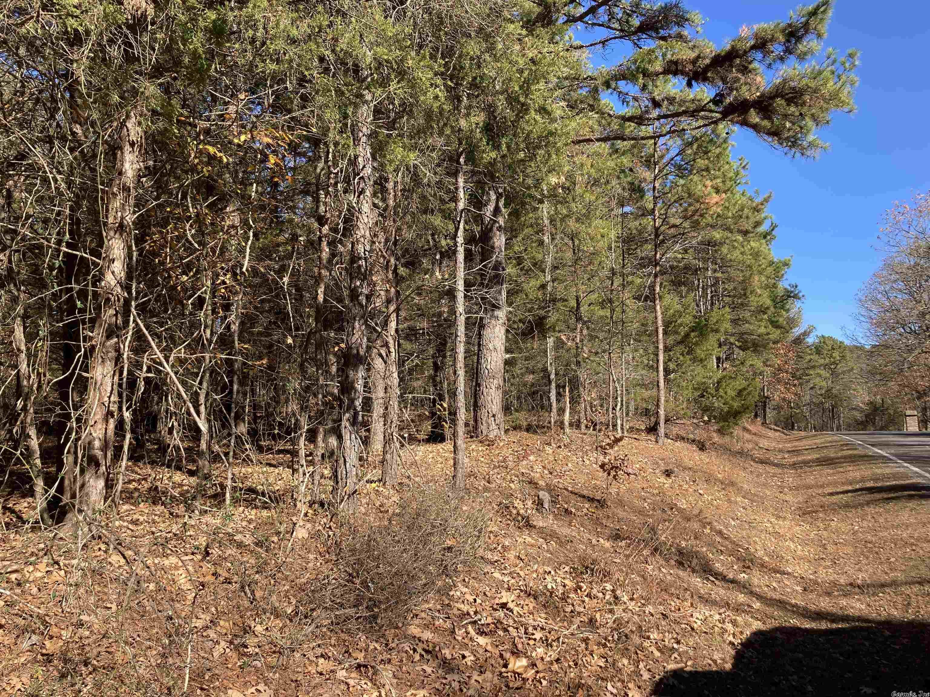 Mountain Ranch - Land