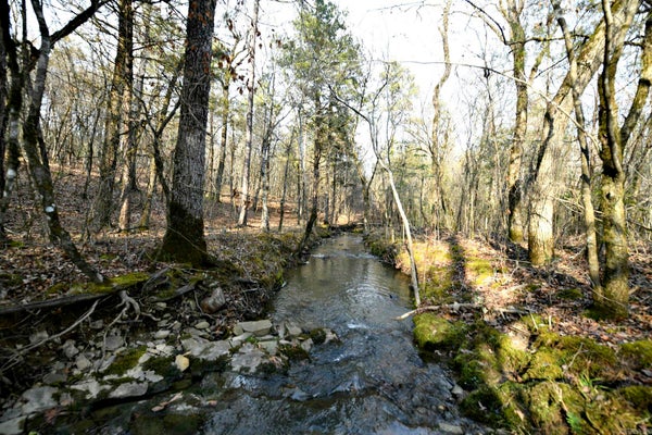 123 POLK ROAD 95, MENA, AR 71953 - Image fba15f3e5cd68b3d7f689b4296dc6feb/1398286957
