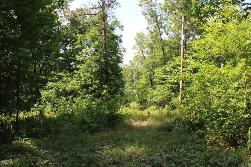 Beautiful, 6.05 acre piece of land just miles to the Buffalo National River! Conveniently located on a gravel road, this land offers both privacy and easy access to the highway. There is a nice cleared area with electricity already on site and city water is available. Call today!
