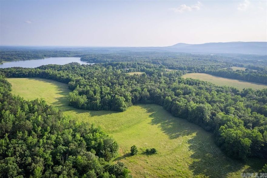 Nice partly Wooded and partly Pasture Land close to 200 acre Lake Wilhelmina, great for fishing! Rural Water across Polk 125 road, electric on the property. Great views of Rich Mountain!  Possible Owner financing available. Some restrictions apply. See agent remarks