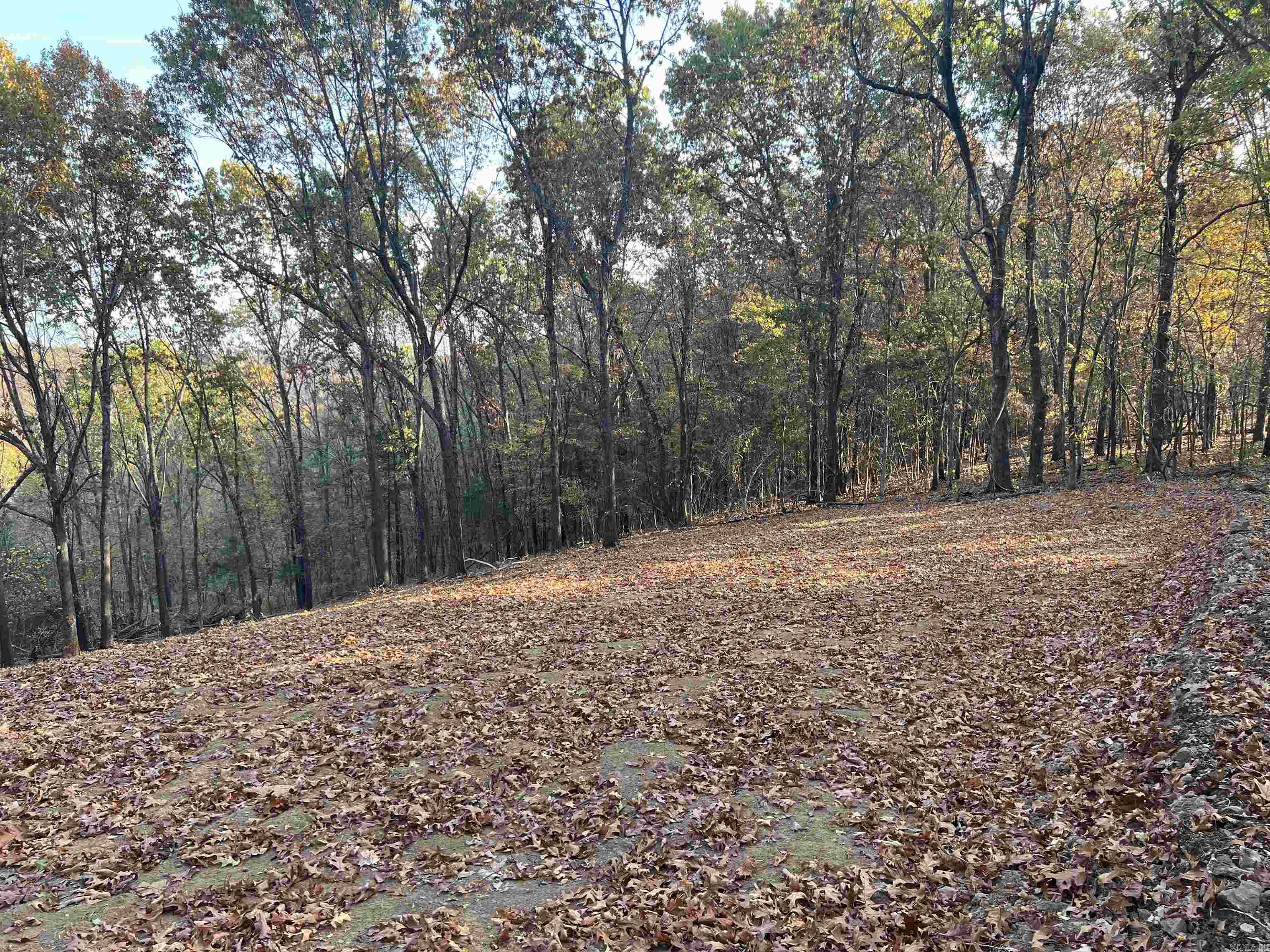 Nice View with a private building site. The property features a seasonal creek and lots of hardwood trees. There are no property restrictions and electric is available.