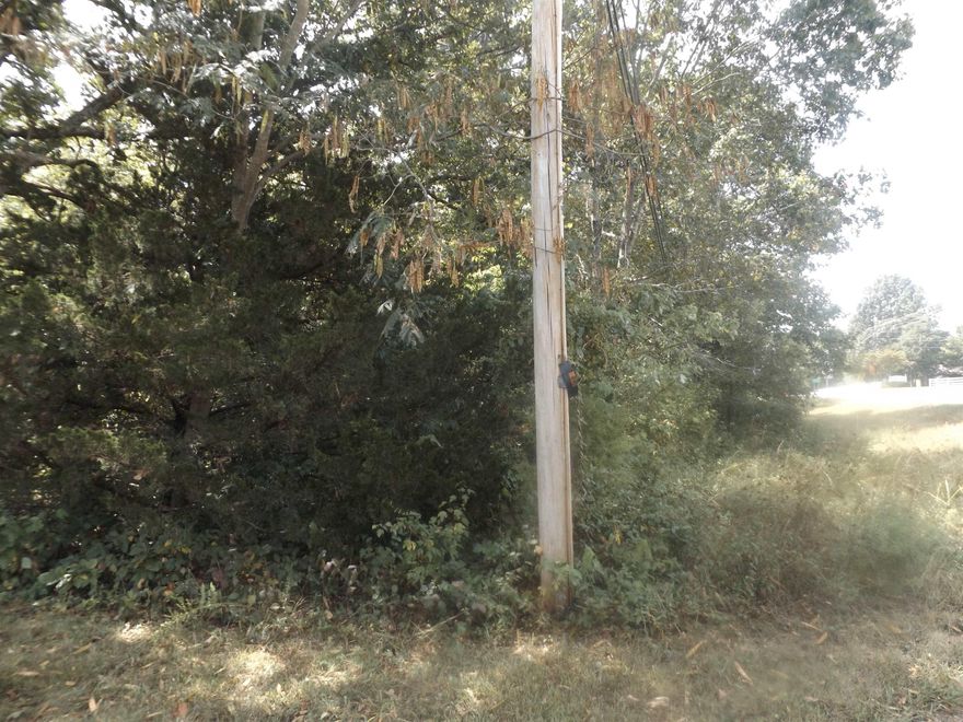 Looking for that perfect Lot near Bull Shoals Lake with city water, NAEC electric, NEXT Internet all available? Also apparently exempt from subdivision restrictions! (to be verified by buyer) This flat to gentle rolling lot would make the perfect site for your new home! Only $10,000.