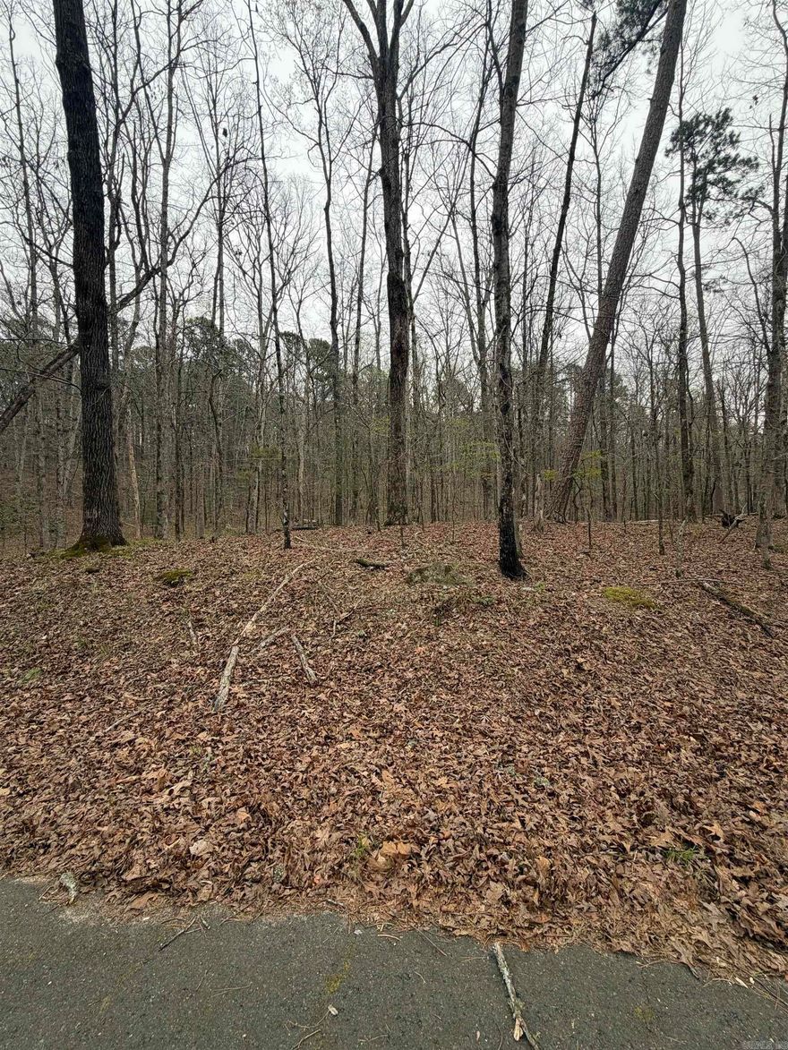0.26-acre lot in Hot Springs Village! Gently sloping, wooded homesite in a desirable subdivision. Utilities at the street. Peaceful setting with access to gold, lakes & trails. Ideal for your dream home or investment.
