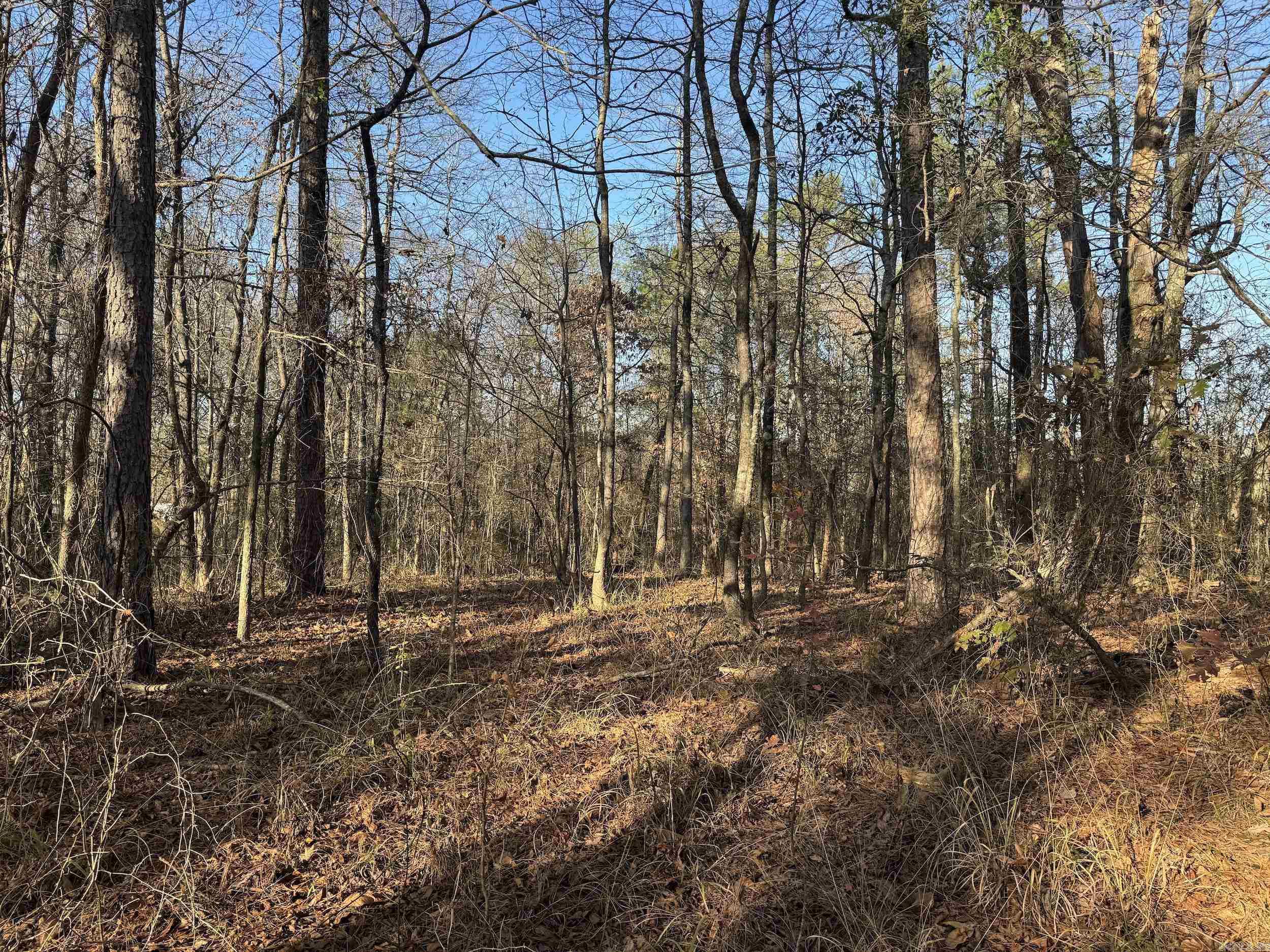 Metes & Bounds - Land