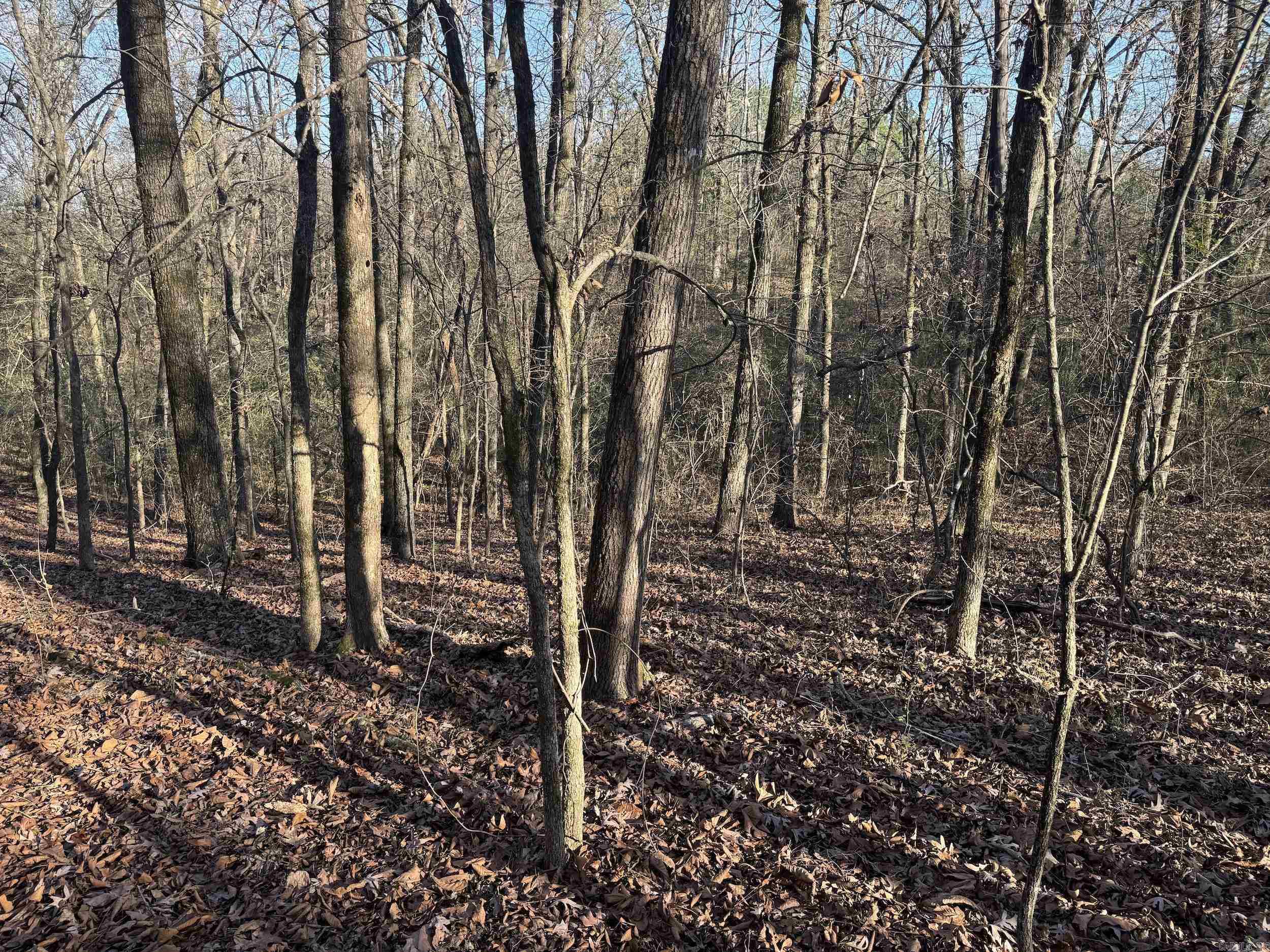 Metes & Bounds - Land