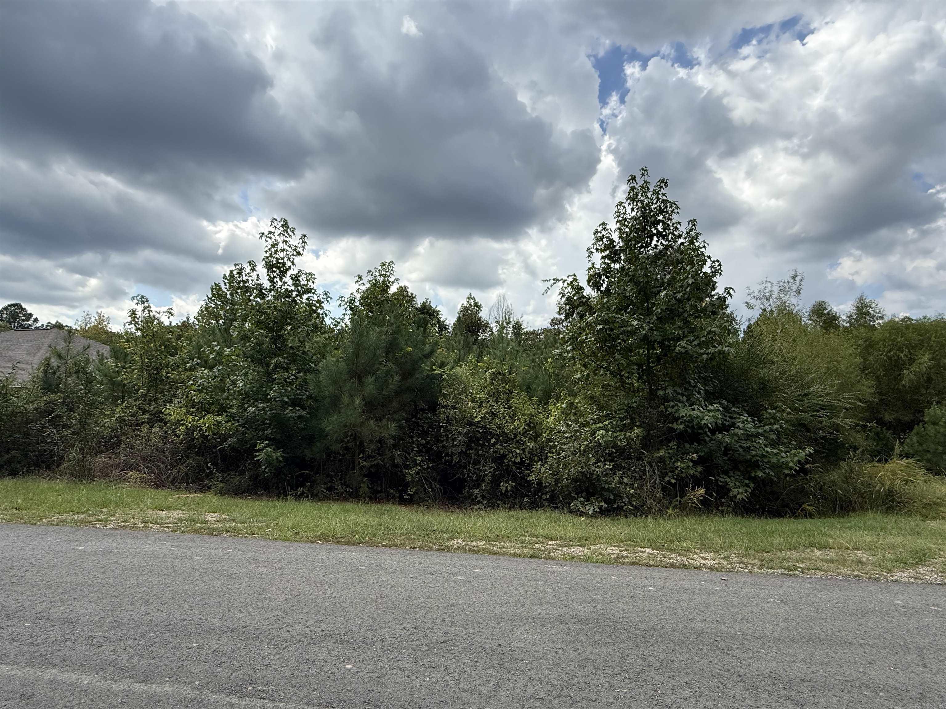 Take a look at this gorgeous wooded lot, situated on 0.22 acres and located in the desirable Lake Town Subdivision within the Lakeside Area and School District. A great opportunity for a builder or developer, with water and sewer available at the street. Just minutes from shopping, restaurants, Oaklawn Racing Casino Resort, and Lake Hamilton, this property offers easy access to all that Hot Springs has to offer. Secure this exceptional lot today and bring your vision to life.