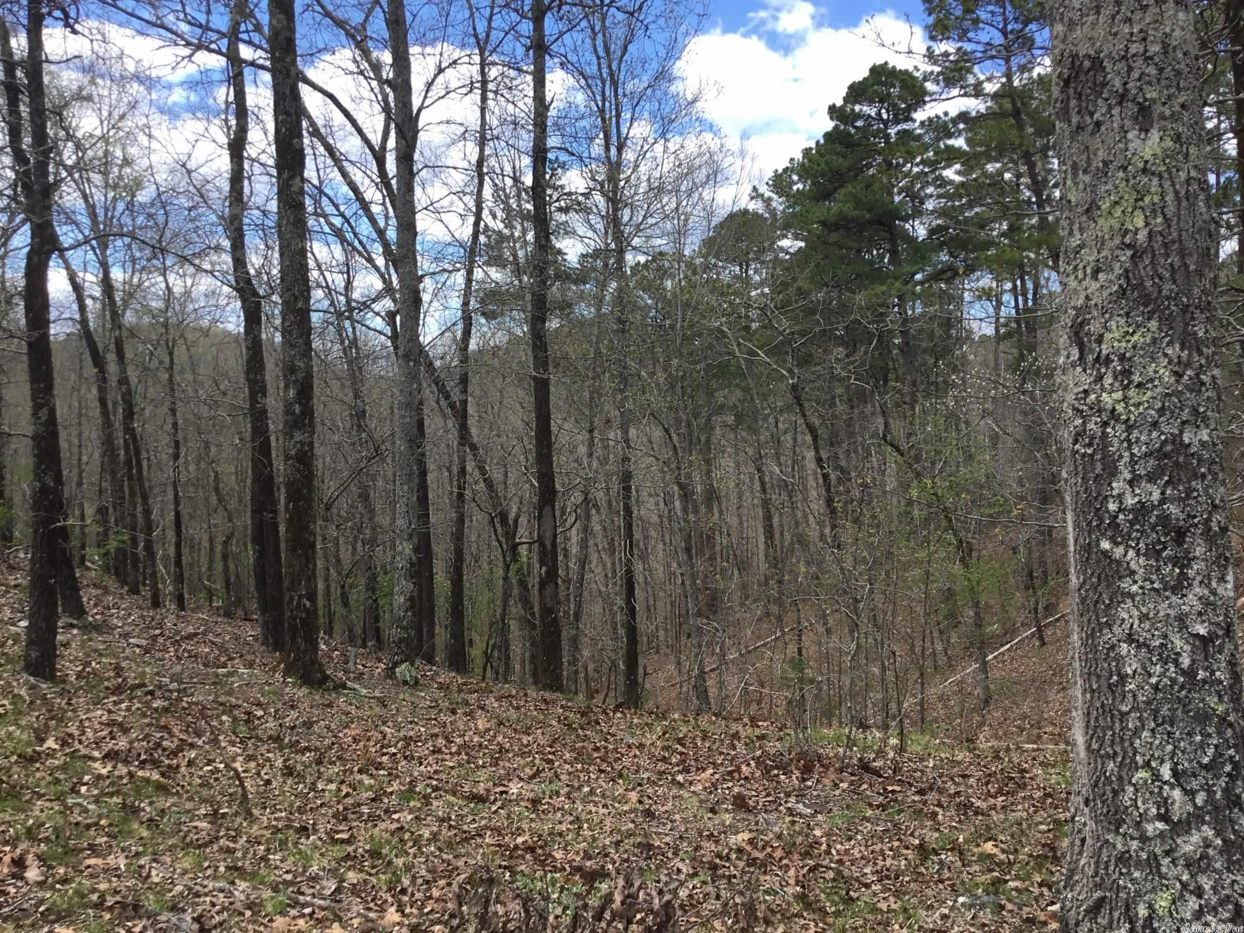 Photo 20 of 20 of Eagle Ridge Road land