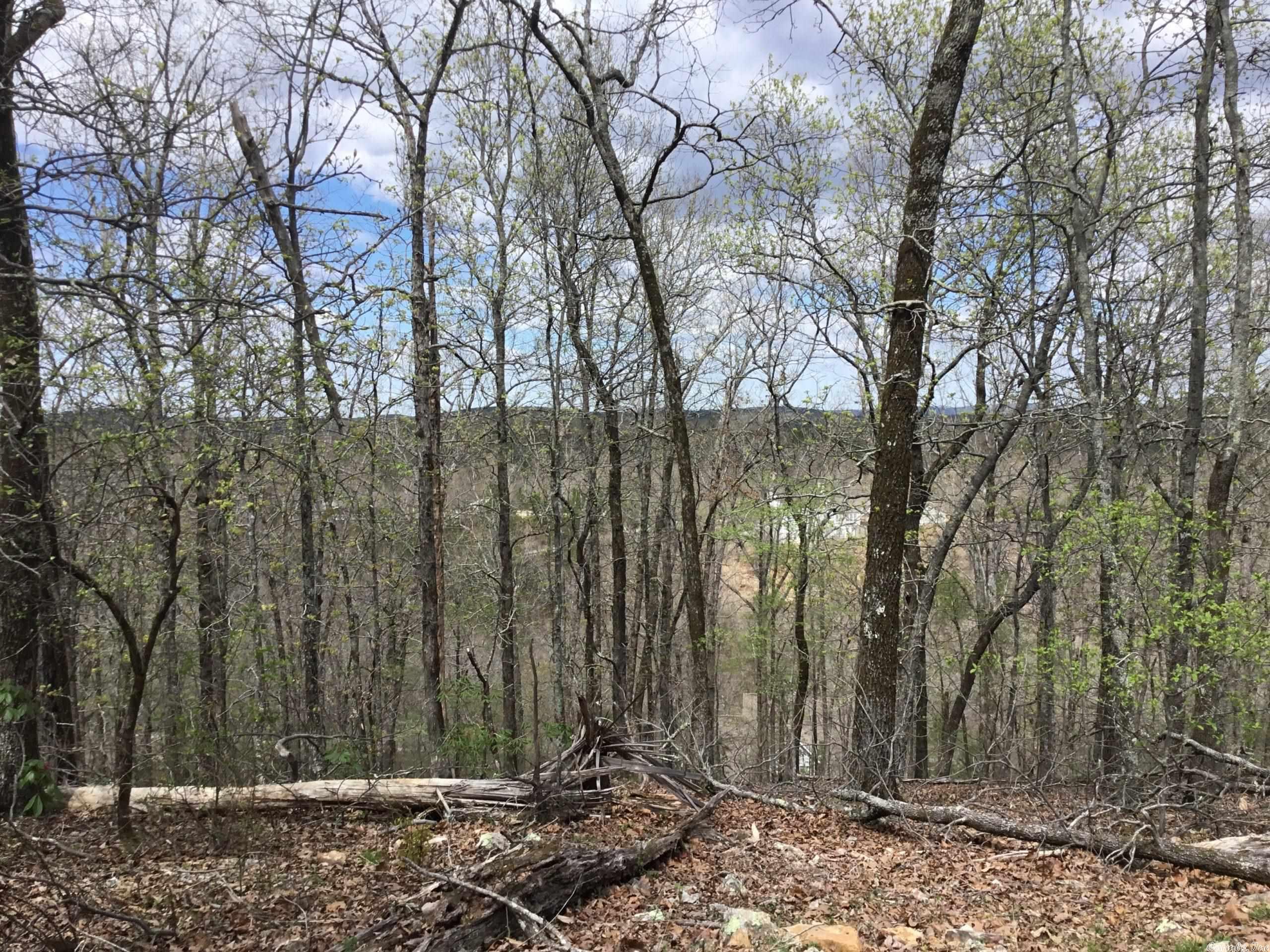 Photo 13 of 20 of Eagle Ridge Road land