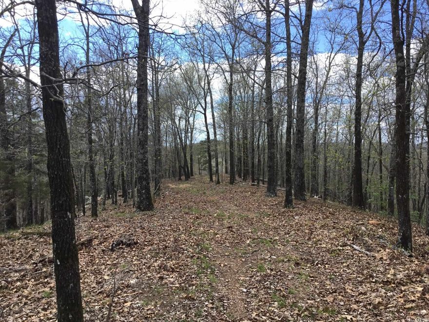 Eagle Ridge Road is located west of Ferndale Cut Off, and Eagle Ridge subdivision is north of the property. This tract is 100.6 acres, more or less, and contains mainly pine plantations. With easy access off Kanis Road and an interior road that runs through the property, this tract has unlimited uses, such as recreational opportunities for deer and turkey hunting. With access to power and water, you could also use this for a homesite or an investment opportunity, with West Little Rock becoming attractive. There are many state parks close by for a chance to get outdoors, such as Pinnacle mountain and Maumelle Park. This property is less than 20 miles from downtown Little Rock making it easy to commute.  SELLER IS RETAINING MINERAL RIGHTS.