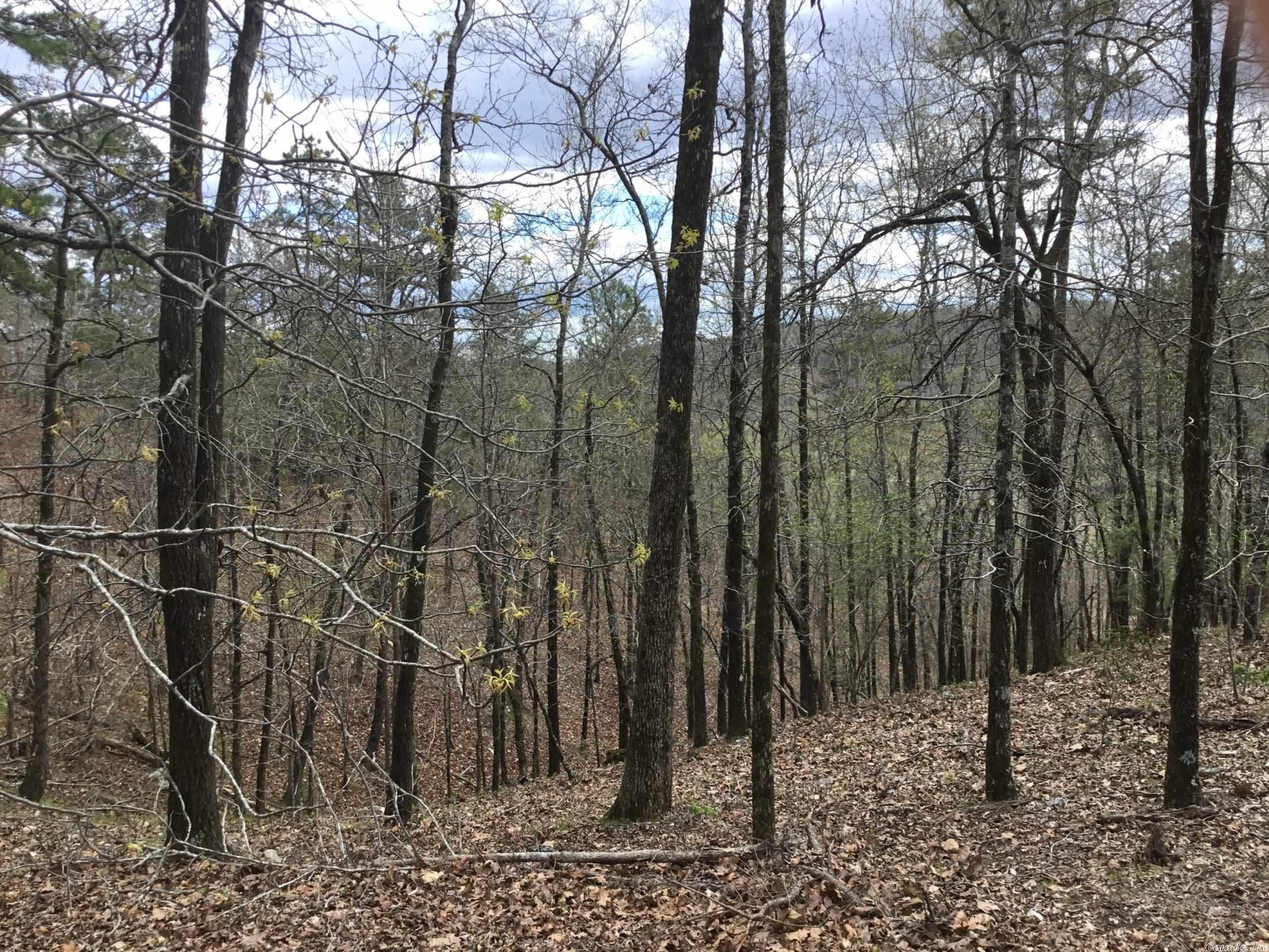 Photo 19 of 20 of Eagle Ridge Road land