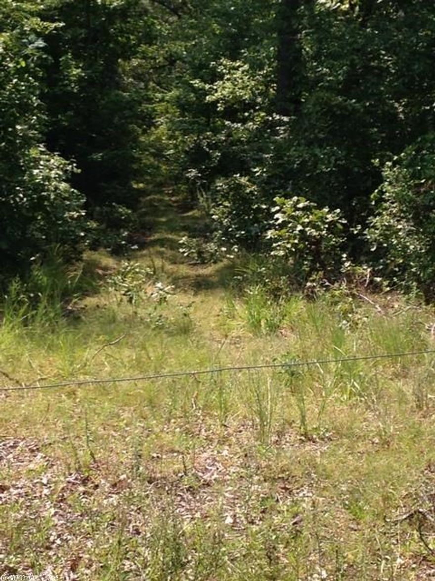 Wooded 5 acres in between 2 residences. There is a lane that goes in the middle of the 5 acres that you can walk or ride ATV on to see the land. Very private property about 1.5 miles down Newman Road ( Street sign is laying down ) which is off of Center Ridge Road. Very pretty area only 5 miles from Pangburn. Great area for hunting. Good timber on this 5 acres. Mineral Rights are Excluded