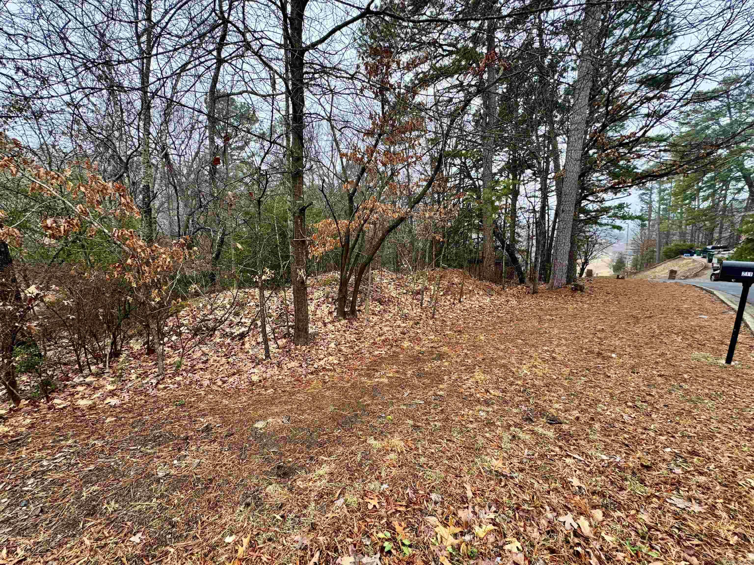 Nice sized pie shaped lot in Hillsborough. Flat frontage that slopes to the back. Bill of Assurance and Plat in Documents.