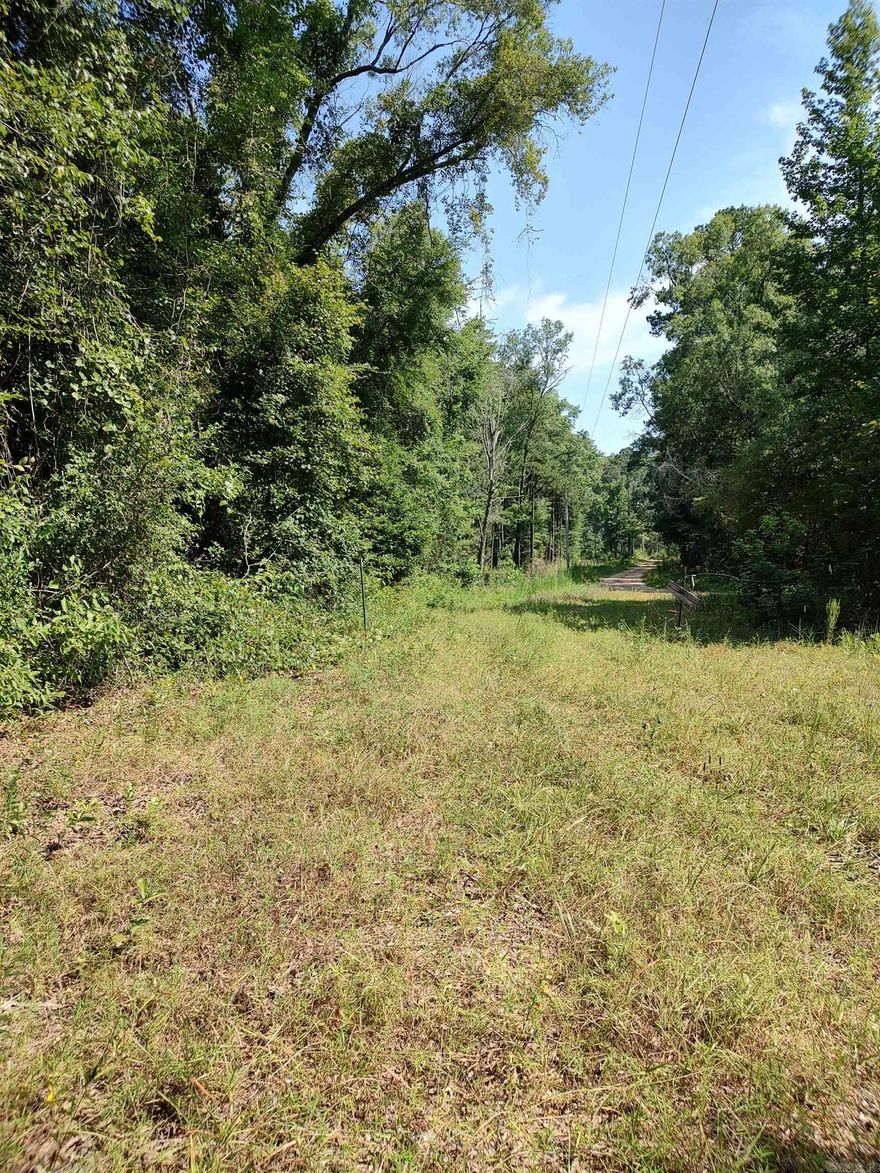 80 acres of hunting and enjoying wildlife.  There is a mix of trees on property.  Has electrical poles on the property so electricity is close.  There is a pond, this property could become some ones deer camp or home place or just the perfect get away!    *NO DEER STANDS COVEY WITH THE SALE OF PROPERTY!!  *NO SELLER PROPERTY DISCLOSURE WILL BE PROVIDED!!