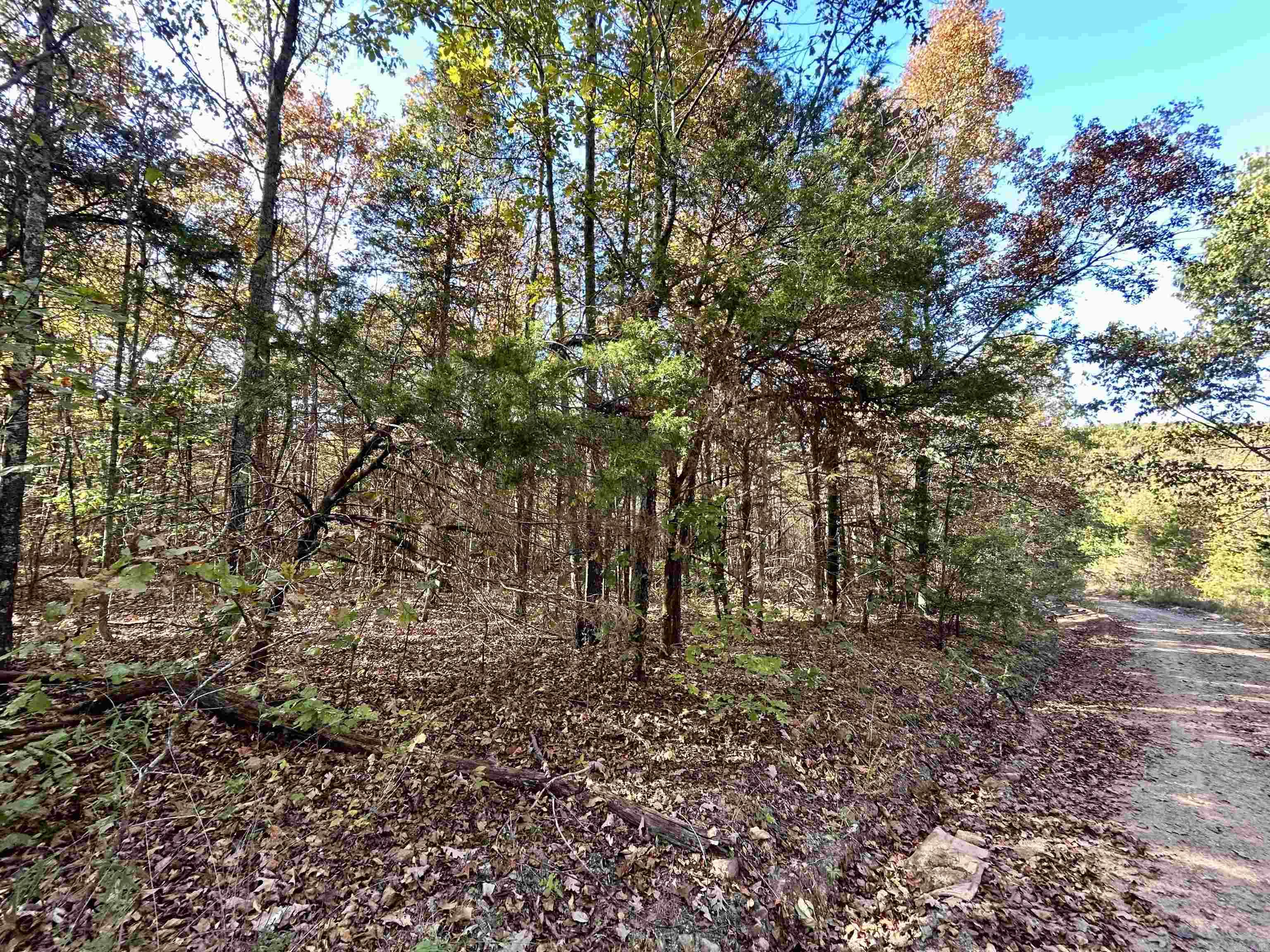 Not in Subdivision - Land